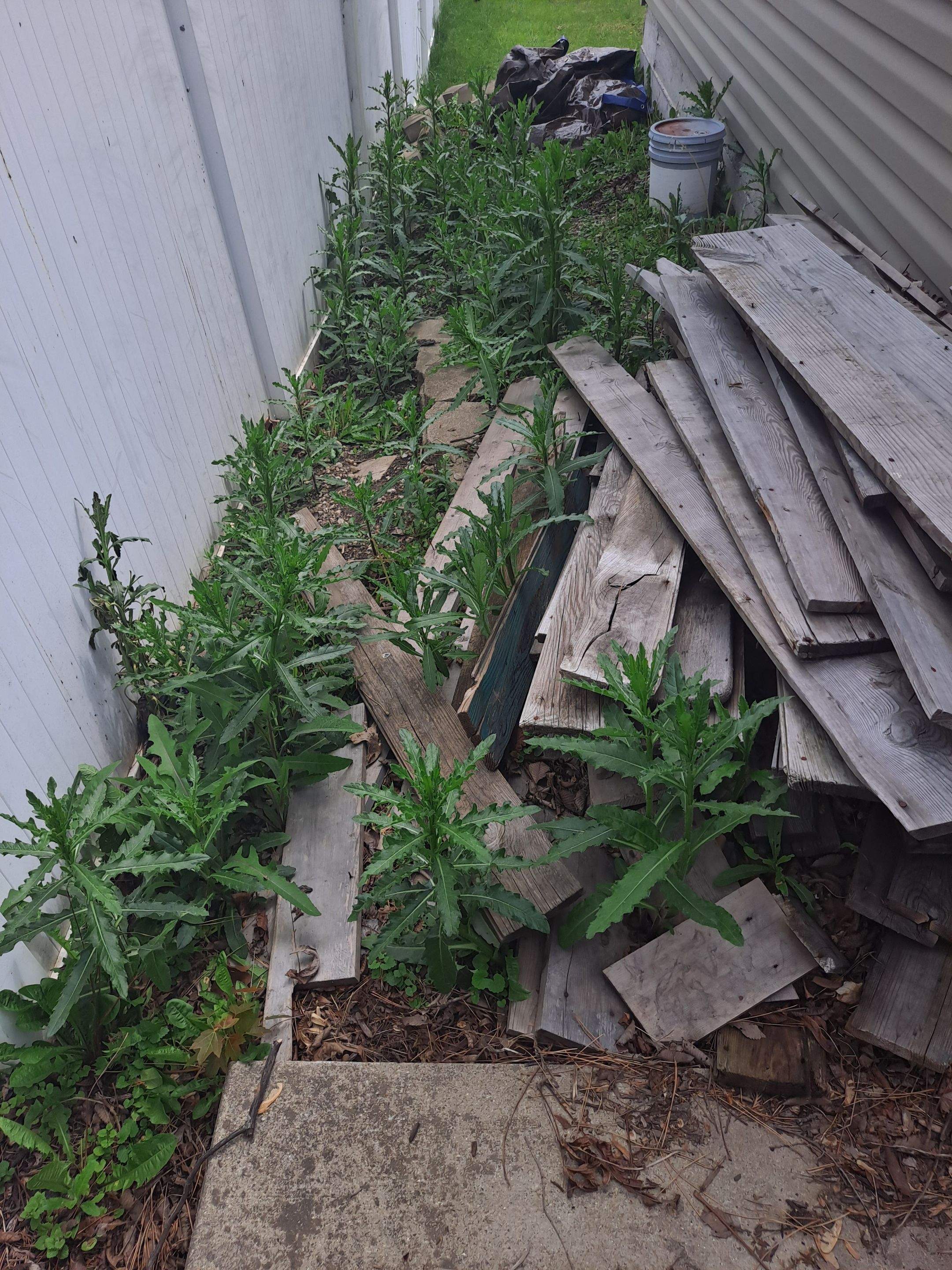 Split faced landscape block retaining wall and French Drain Installation by Allied Water Services