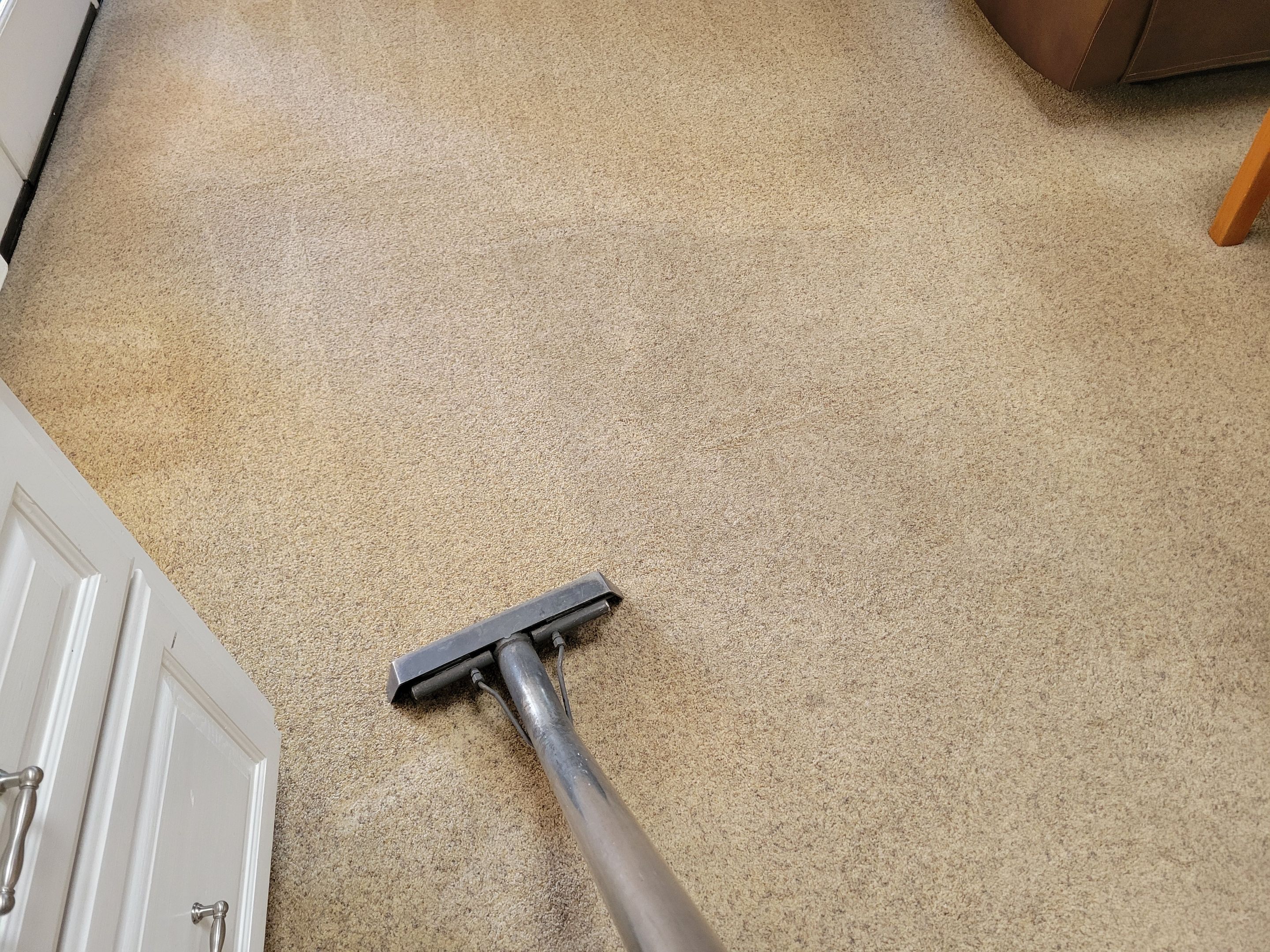 Regularly Scheduled Carpet Cleaning by Ardent Carpet Restore LLC