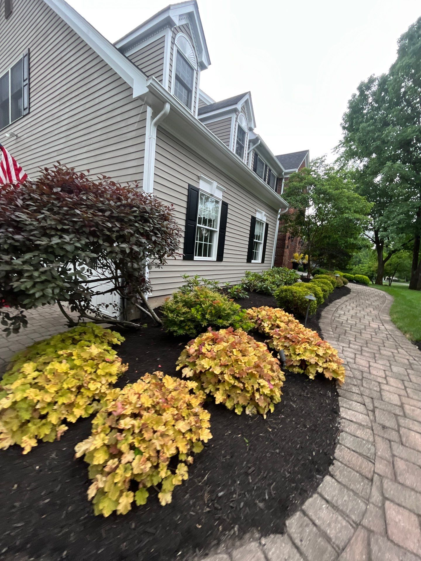Comprehensive Shrub and Ornamental Bed Maintenance in Basking Ridge by Ants Plants