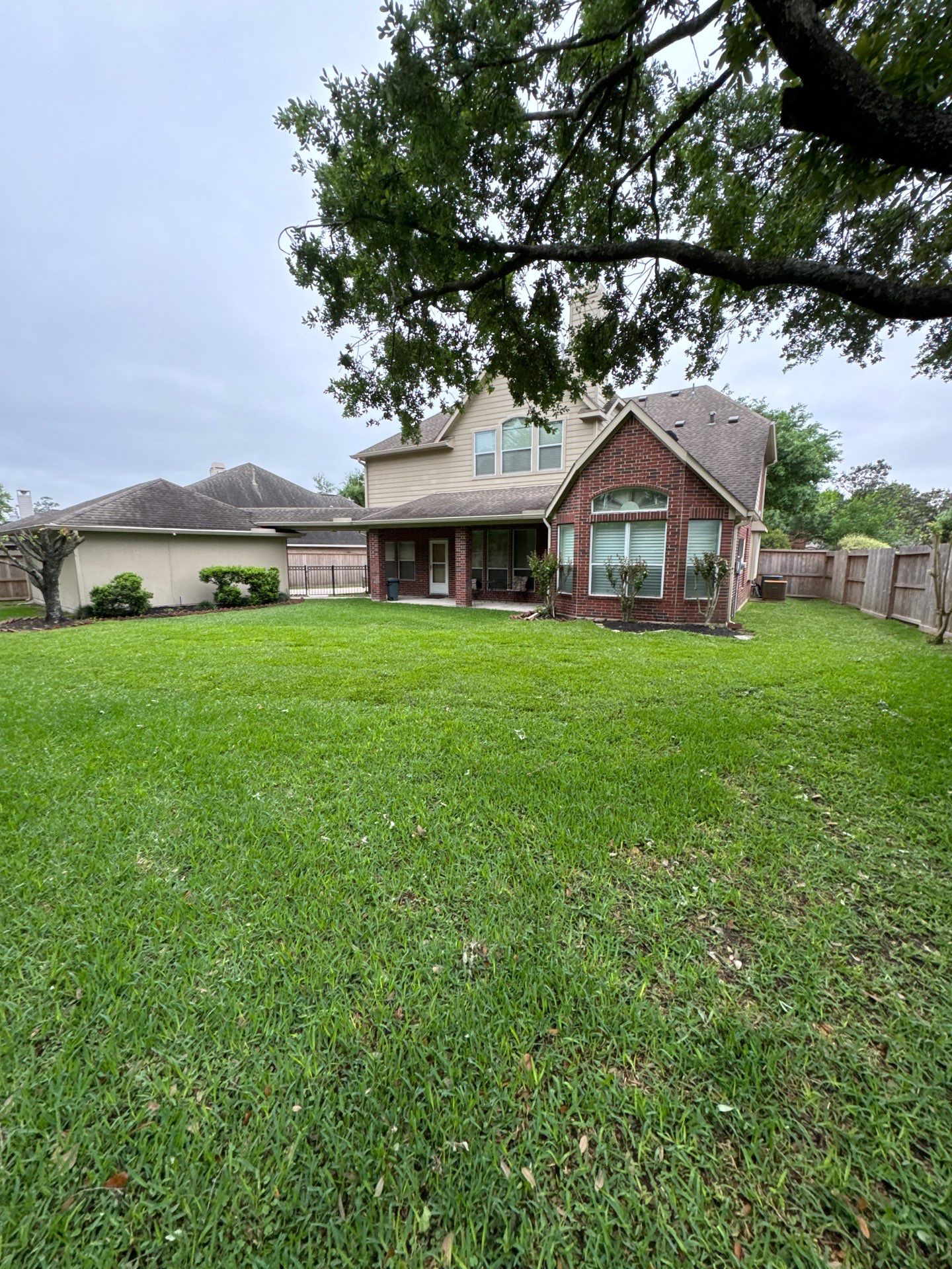 🌿 Mrs. Coleman’s Lawn & Drainage Restoration by Texas Urban Elements