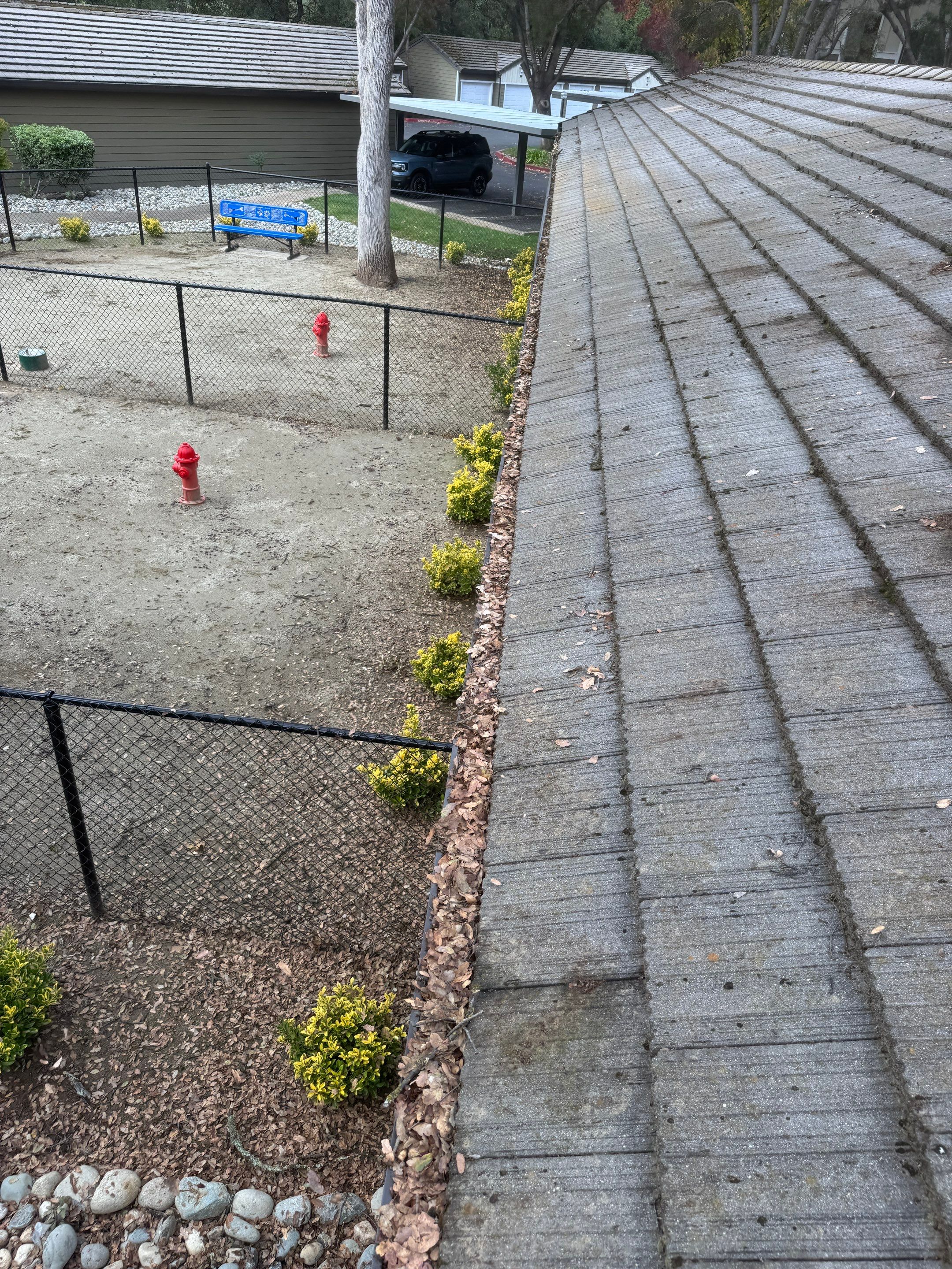 HOA gutter cleaning before photo