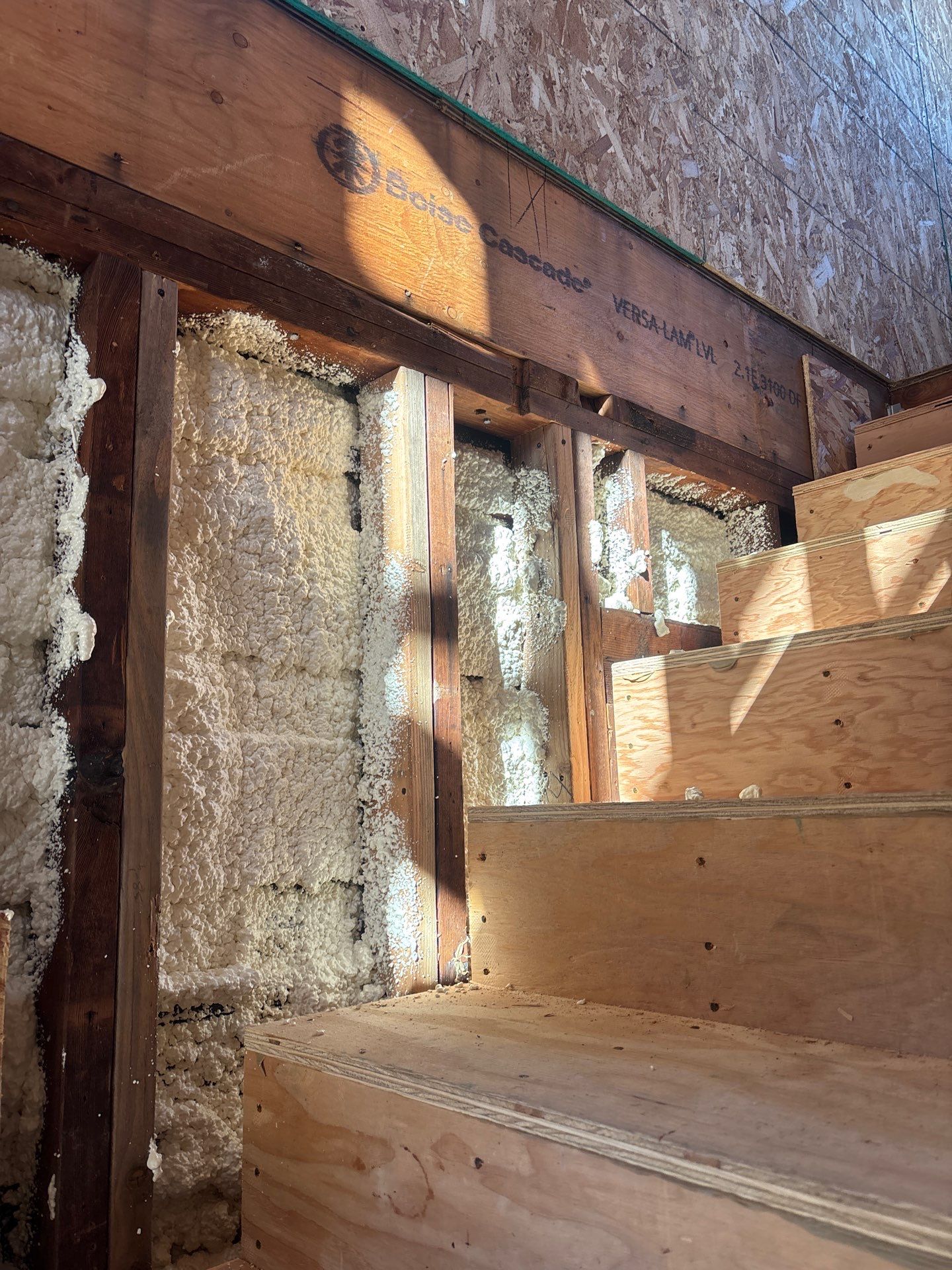 Project in San Diego by Insulation Labs