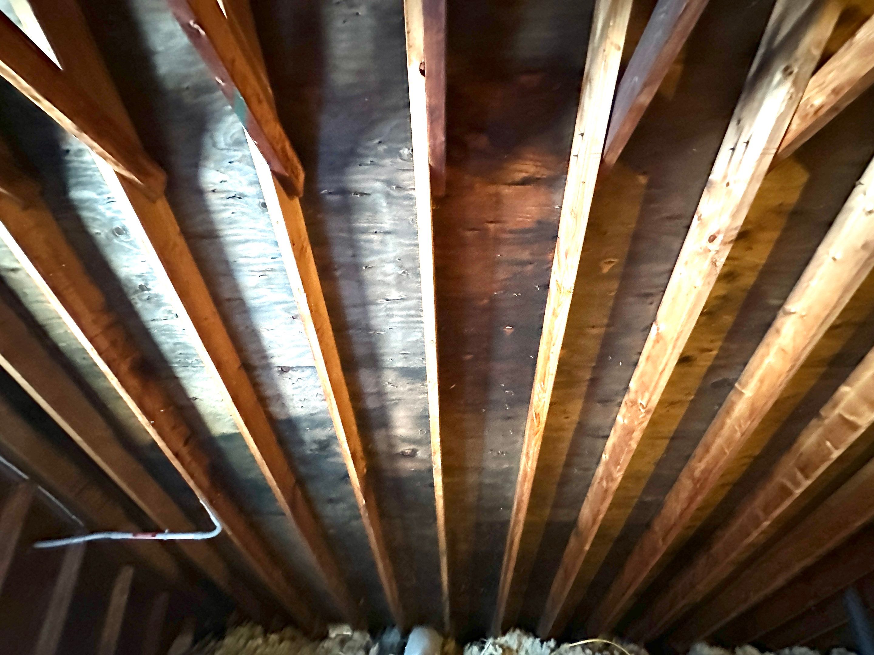 Attic Mold Remediation by Home Guarantee, LLC