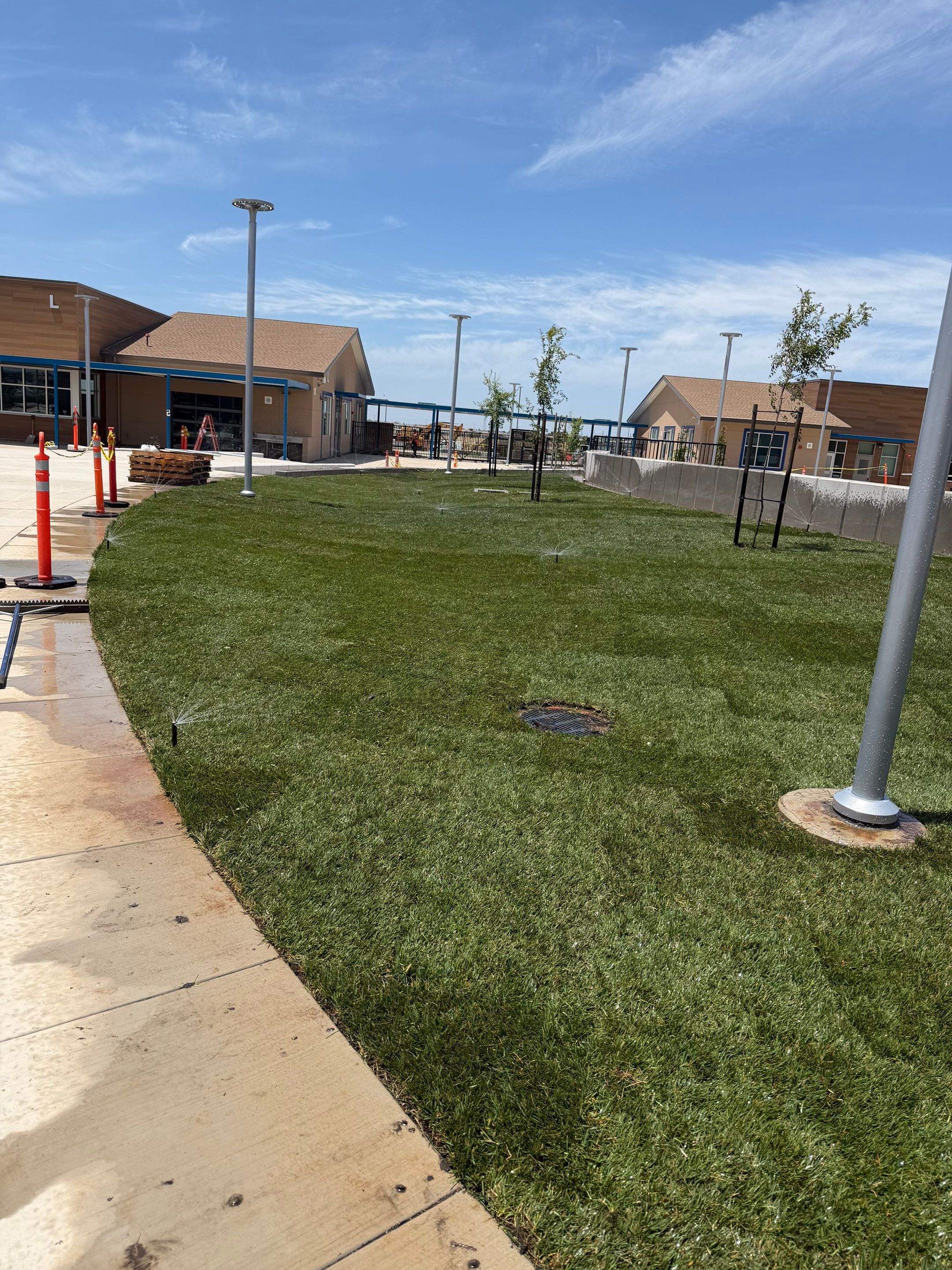 Project in Rancho Cordova by A - G Sod Farms
