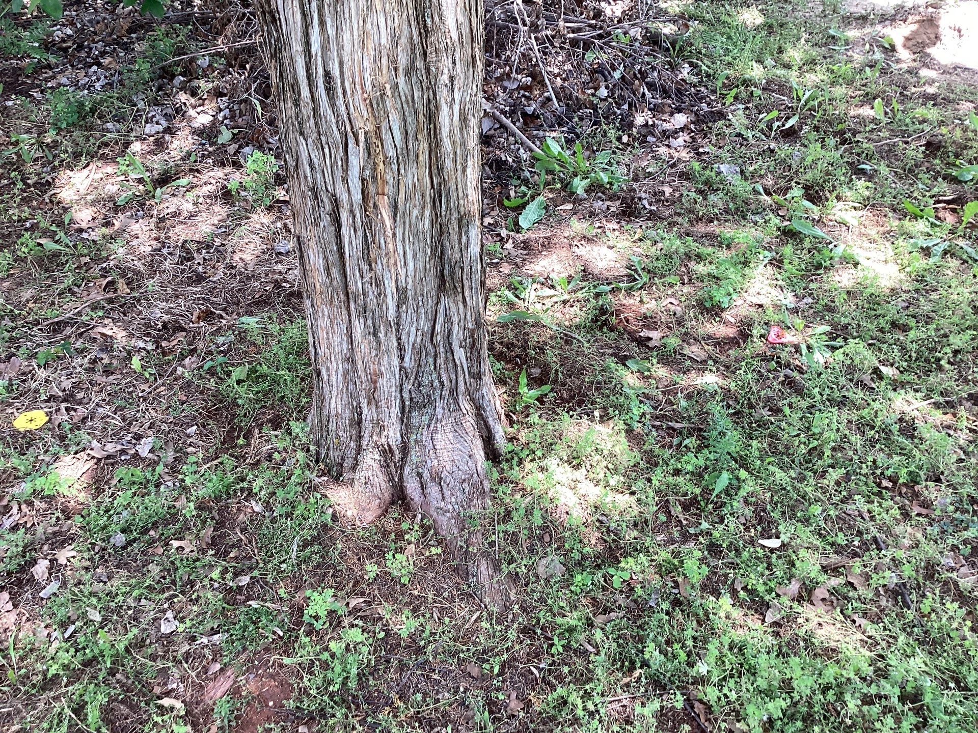 Project in Oklahoma City by PRO-ROOTER