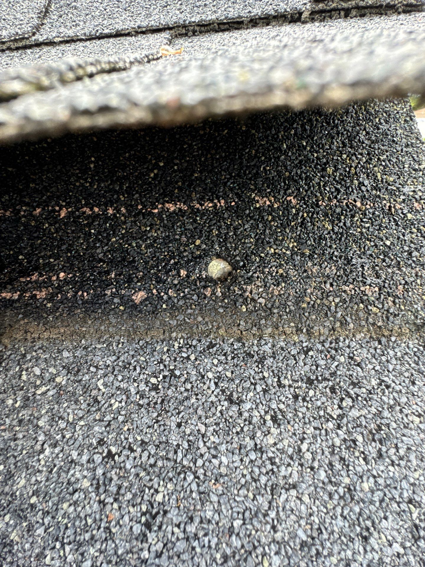 Project in Lakewood by Connolly Construction Company