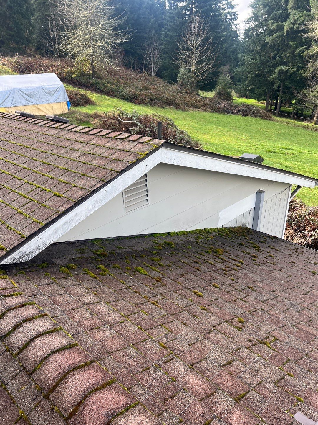 Residential Roofing Installation using IKO Dynasty (Color: Frostone Grey) by Orezona Building & Roofing Company, Inc.