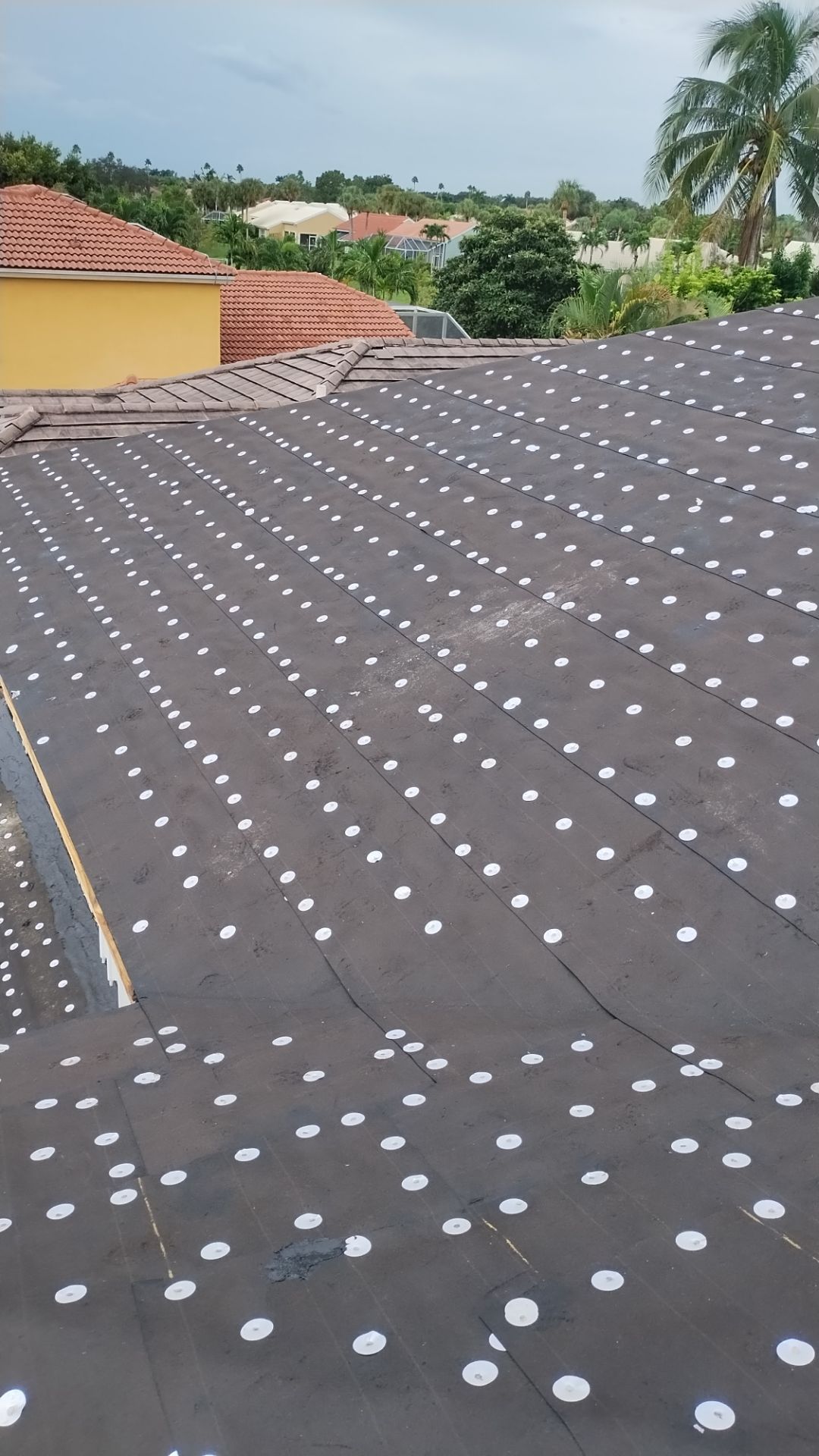 Residential Roofing Installation using 1" Nail strip metal roof by BLUES BROTHERS ROOFING
