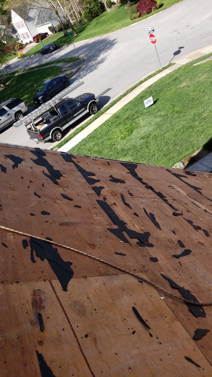 Springfield Certainteed Landmark Pro Designer Shingles by RM Banning, Inc.