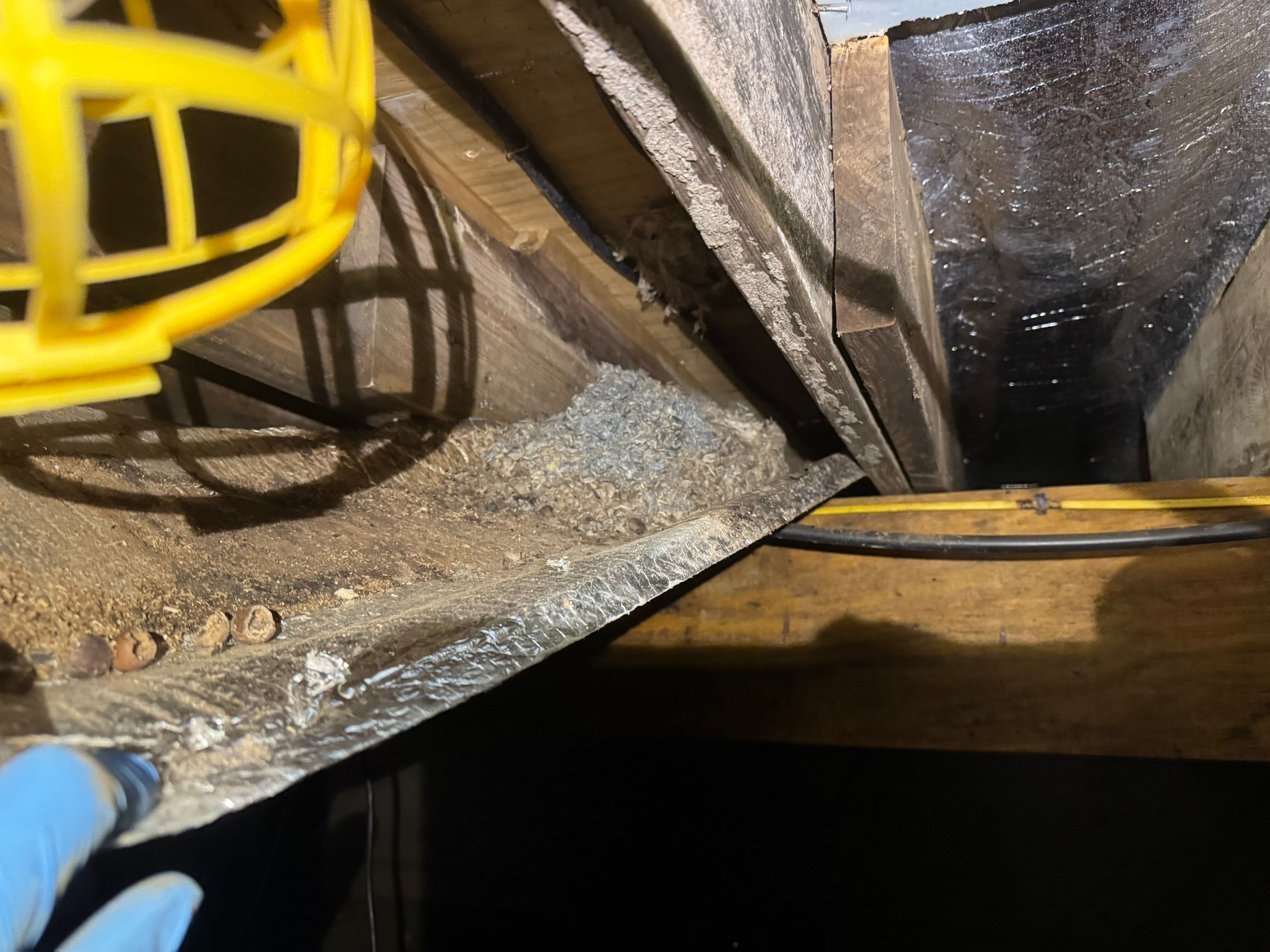 Encapsulation & Remediation for Basement Crawlspace by Home Guarantee, LLC
