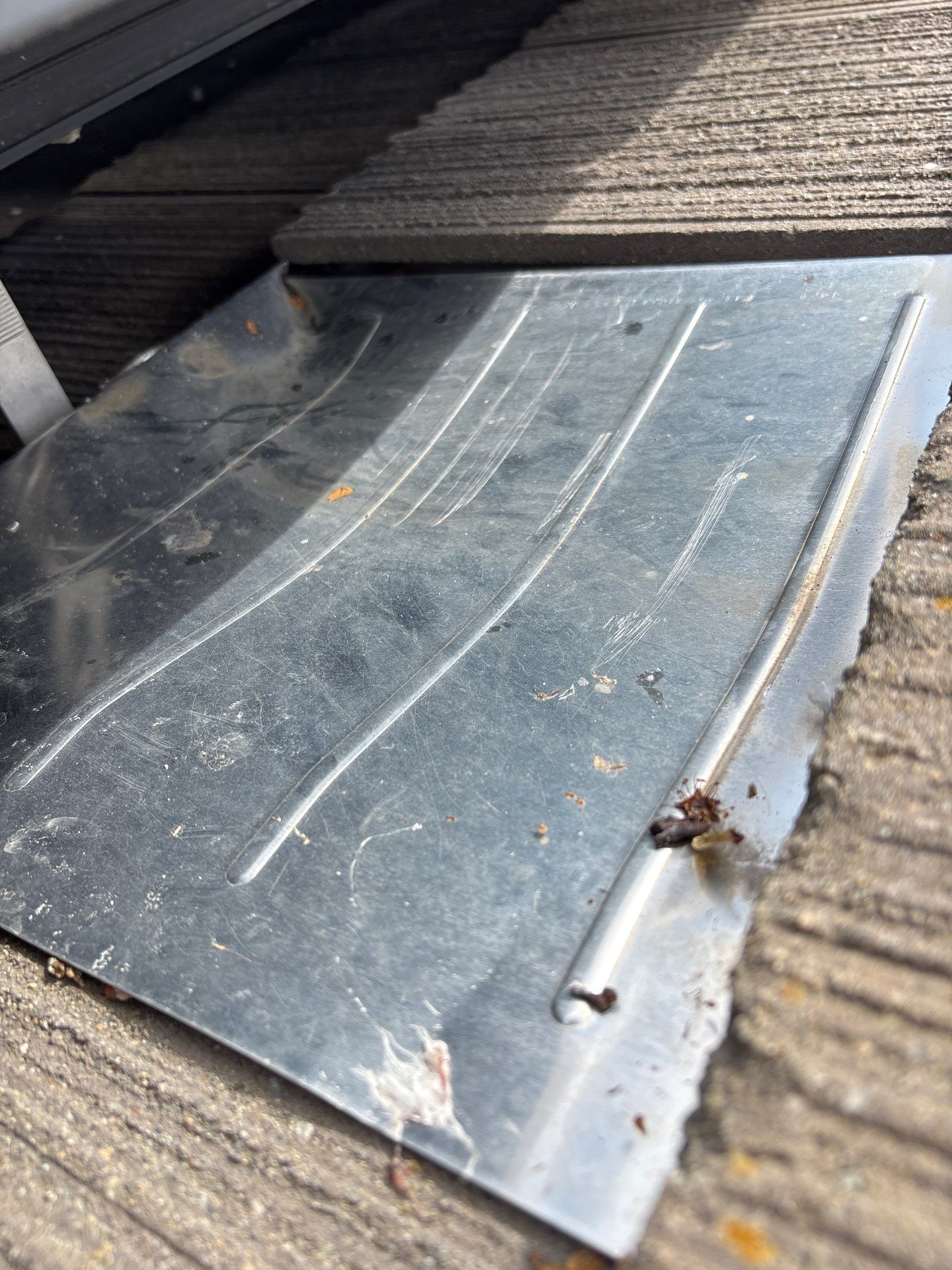 Moss Removal by Top Elevation