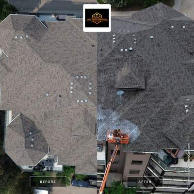 Project in Camrose