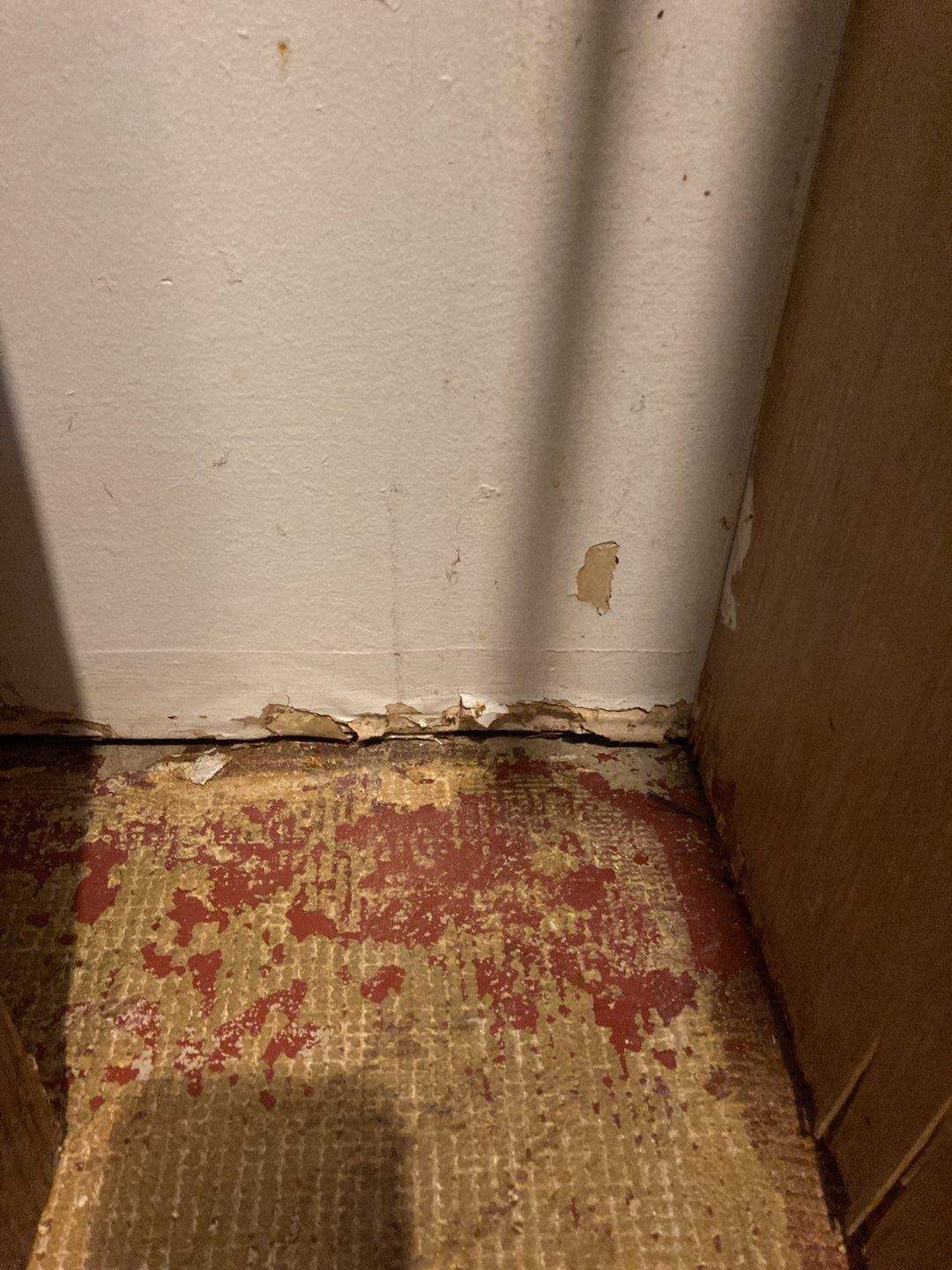 Mold Remediation in Basement by Accountable Home Services