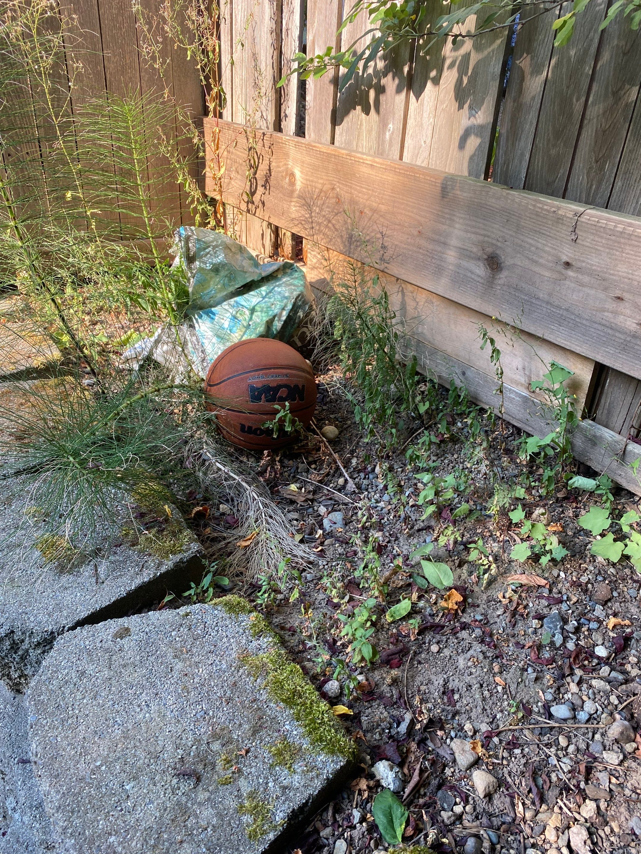 Small Patio Makeover in Lynnwood by Jireh Asphalt & Concrete Inc