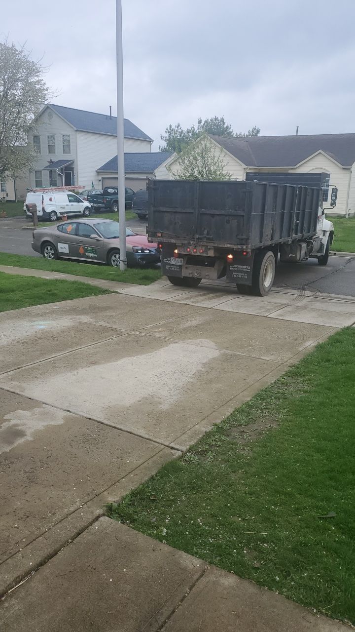 Tree Removal using Tree Removal by Mike Jones & Sons Tree Service LLC 