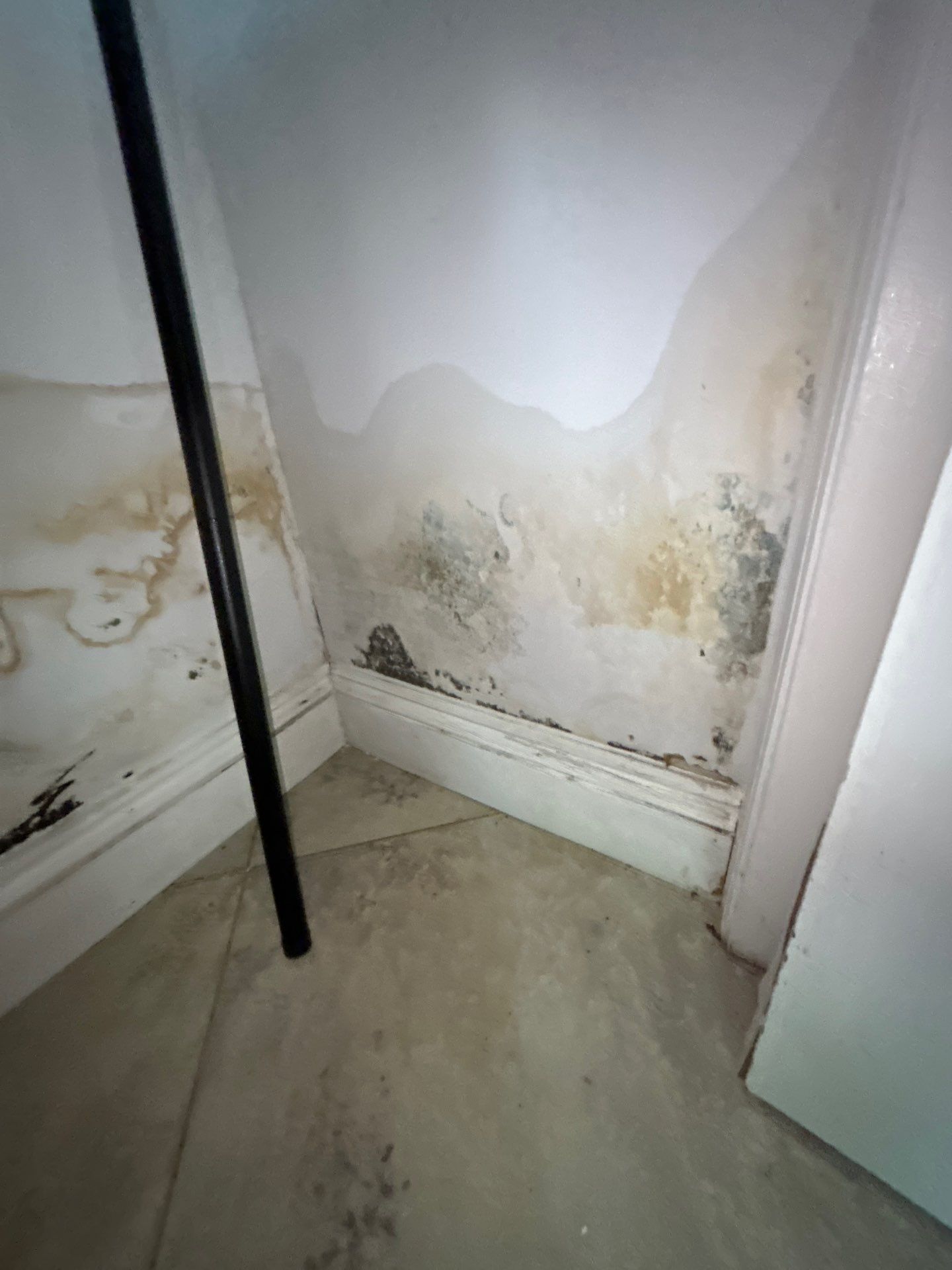 Storm Water Damage Sarasota by Ampm Restoration Services