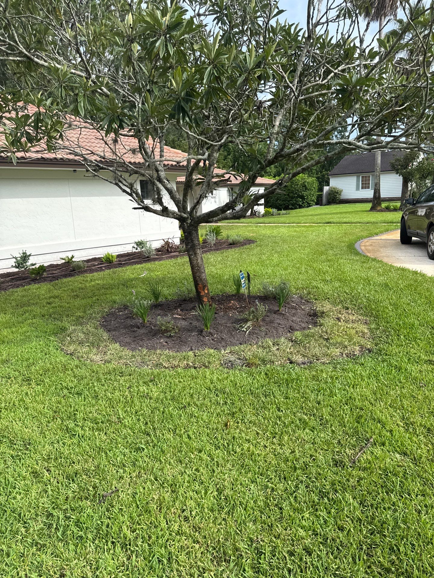 Deerwood Resident | Bed Design & Upgrade by ProGreen Services