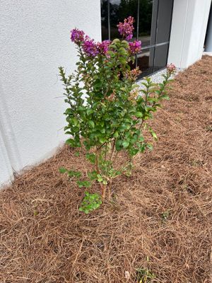 Large Landscape Project | Center Point