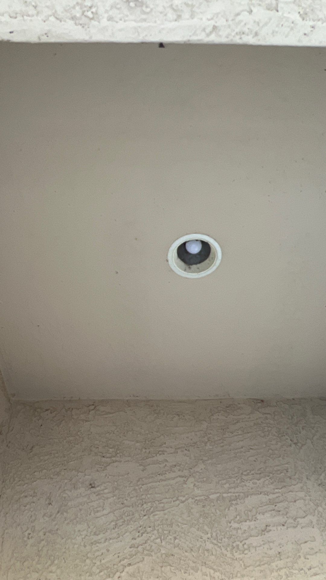 Exterior Painting using Dunn-Edwards EVERSHIELD®  by Crash of Rhinos Painting & Garage Floors