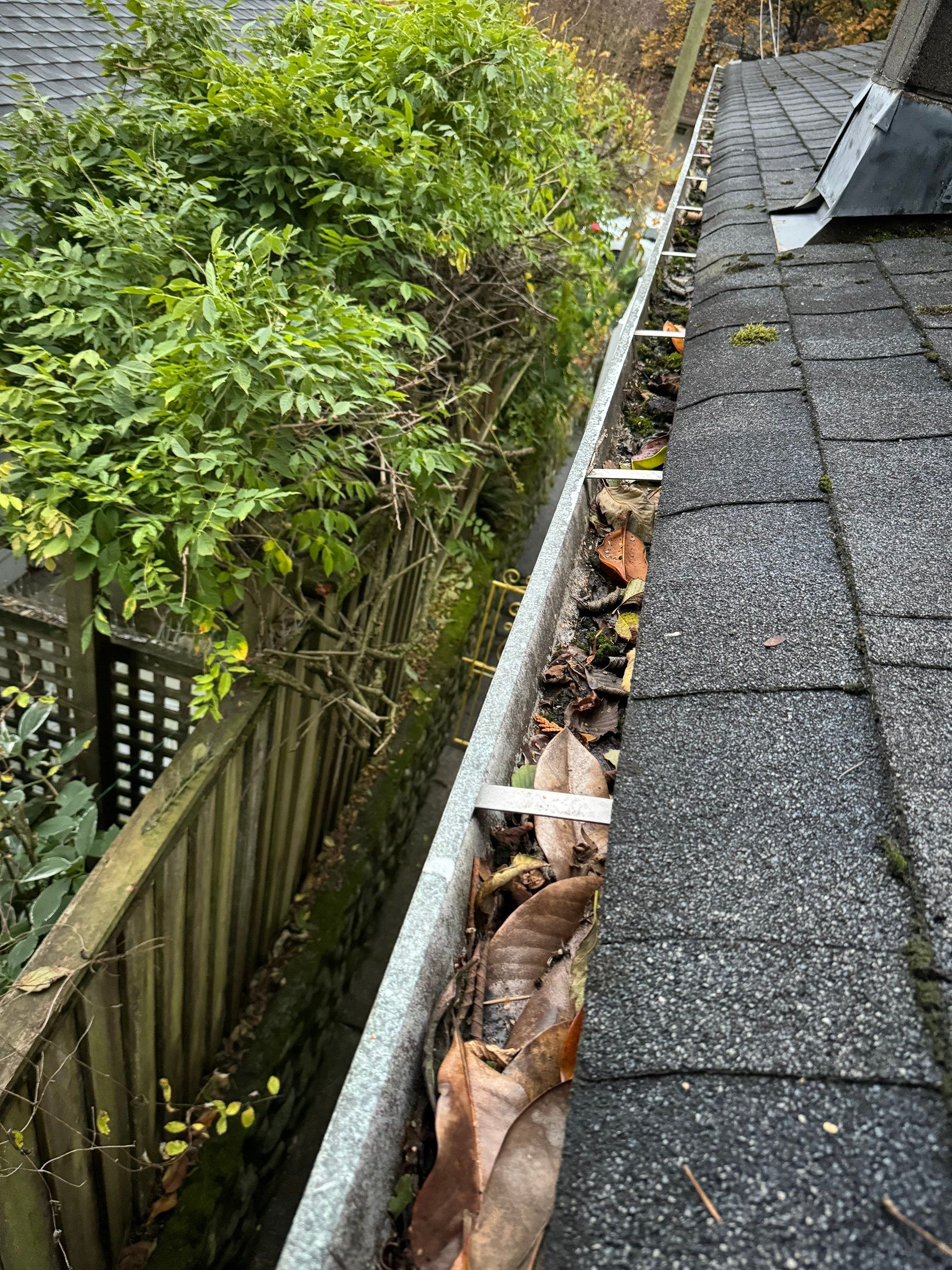Roof cleaning by YVR Construction Group