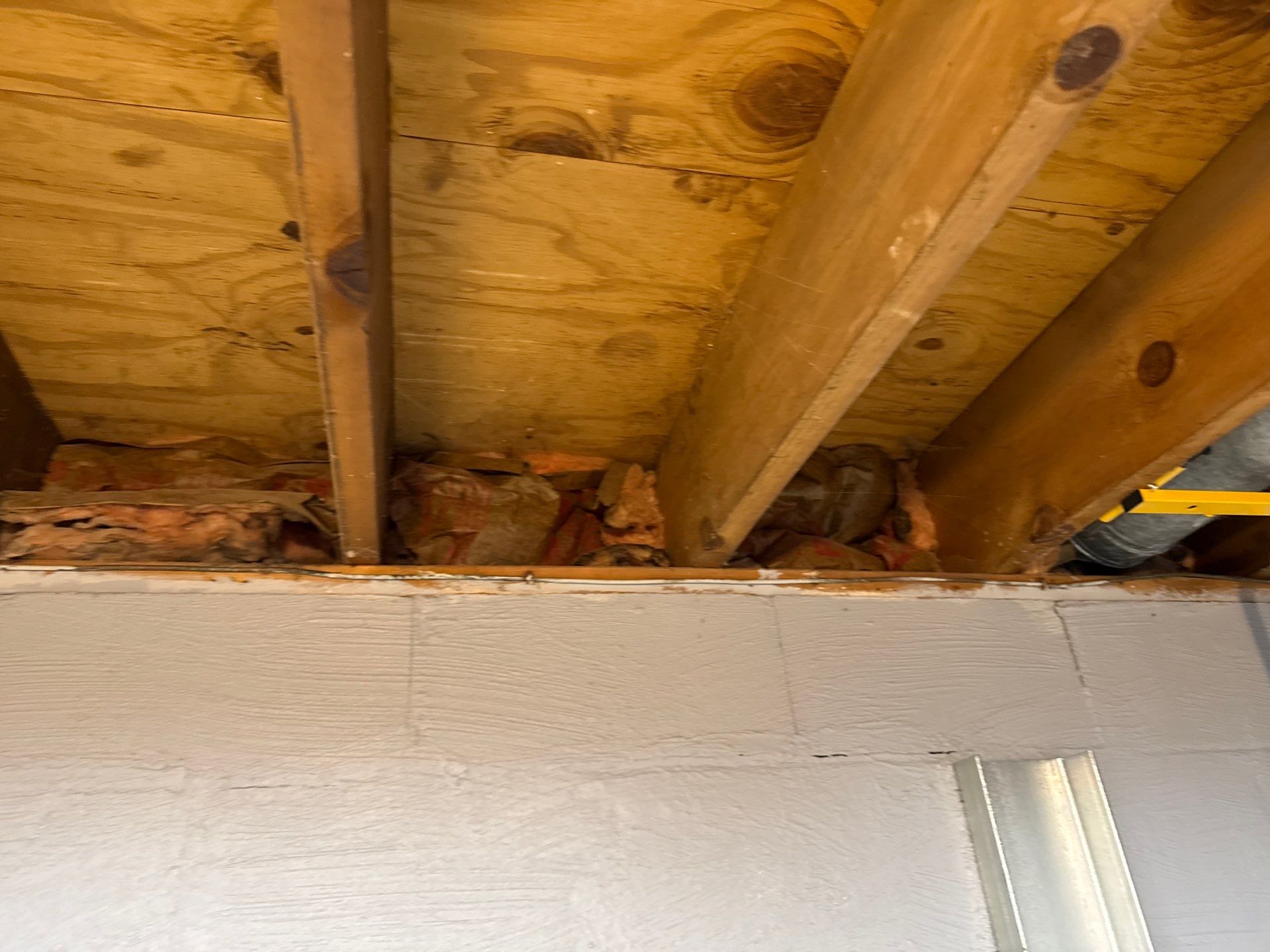 Rodent clean up and sanitation in Pittsburgh, PA 15237 by Home Environment Solutions