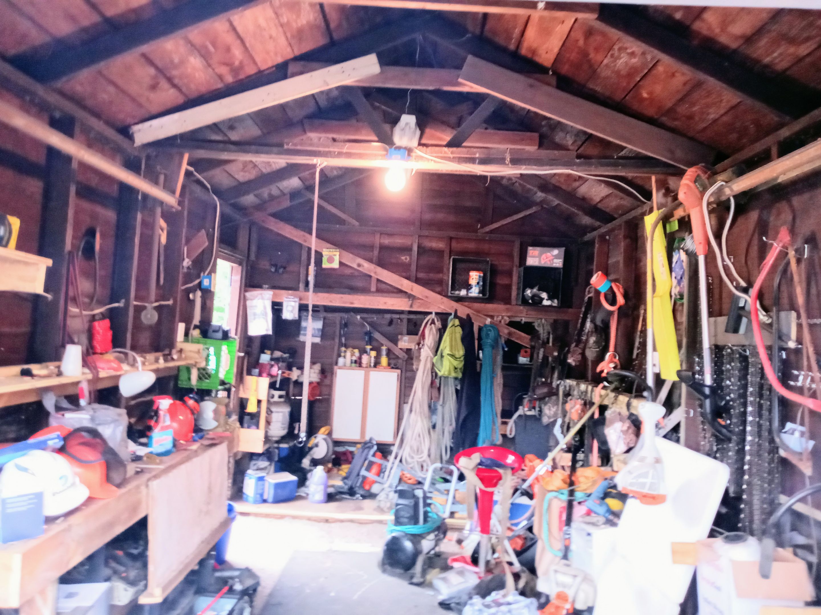 Tree Removal using Tree Removal by Mike Jones & Sons Tree Service LLC 