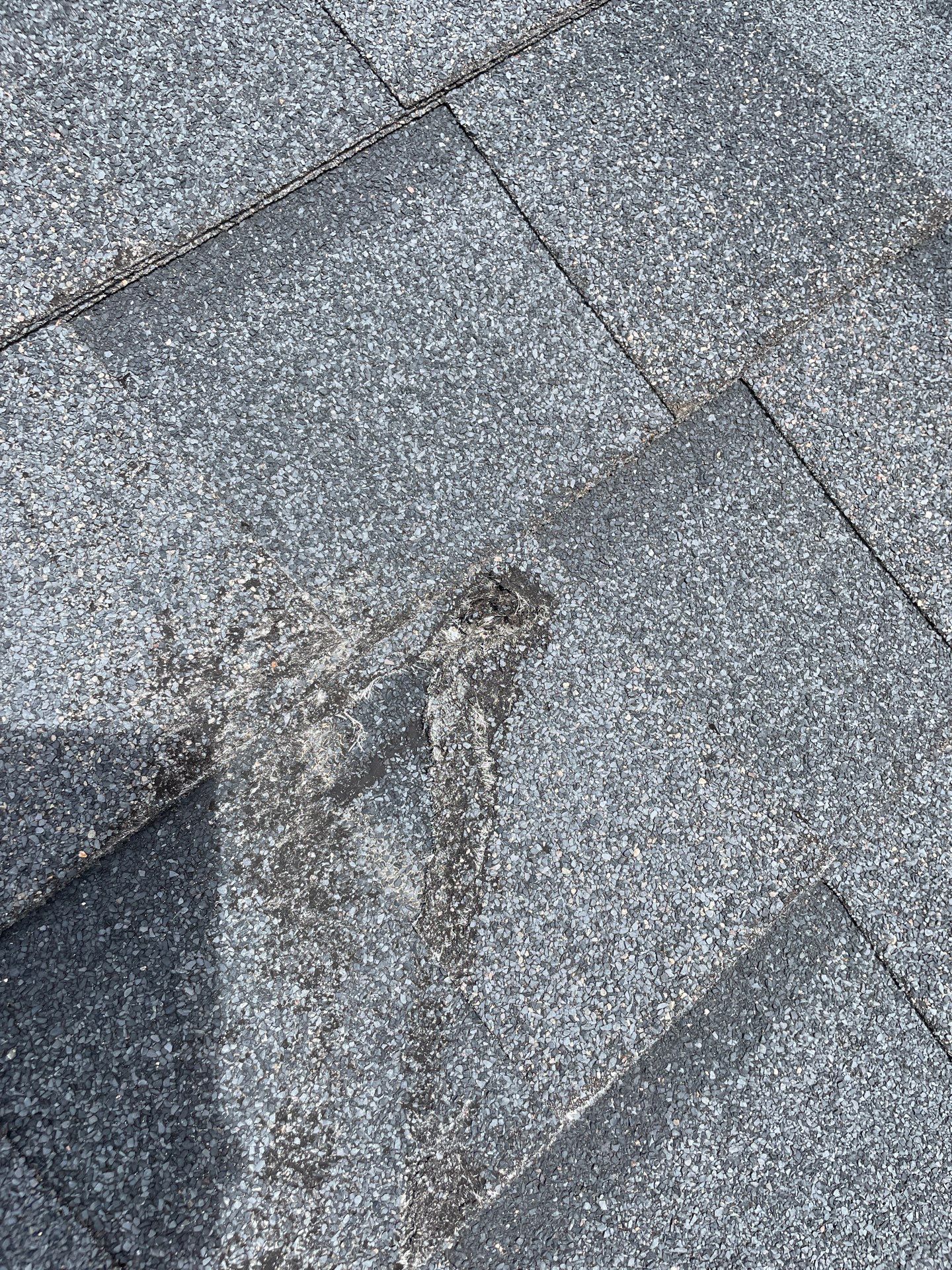 Hail Damage using Owen's Corning Duration (Lifetime) Shingles by Roof Repair Company