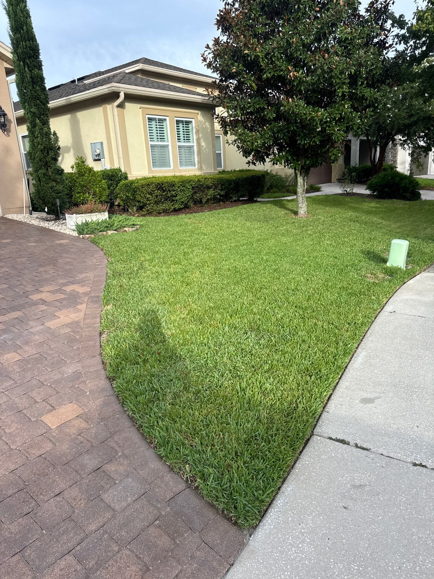 Residential | Sod Installation by ProGreen Services