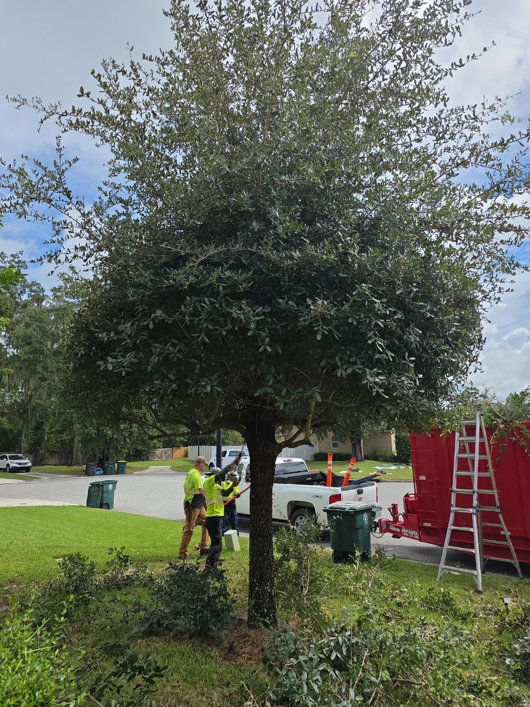 Property Clean Up | Residential by ProGreen Services