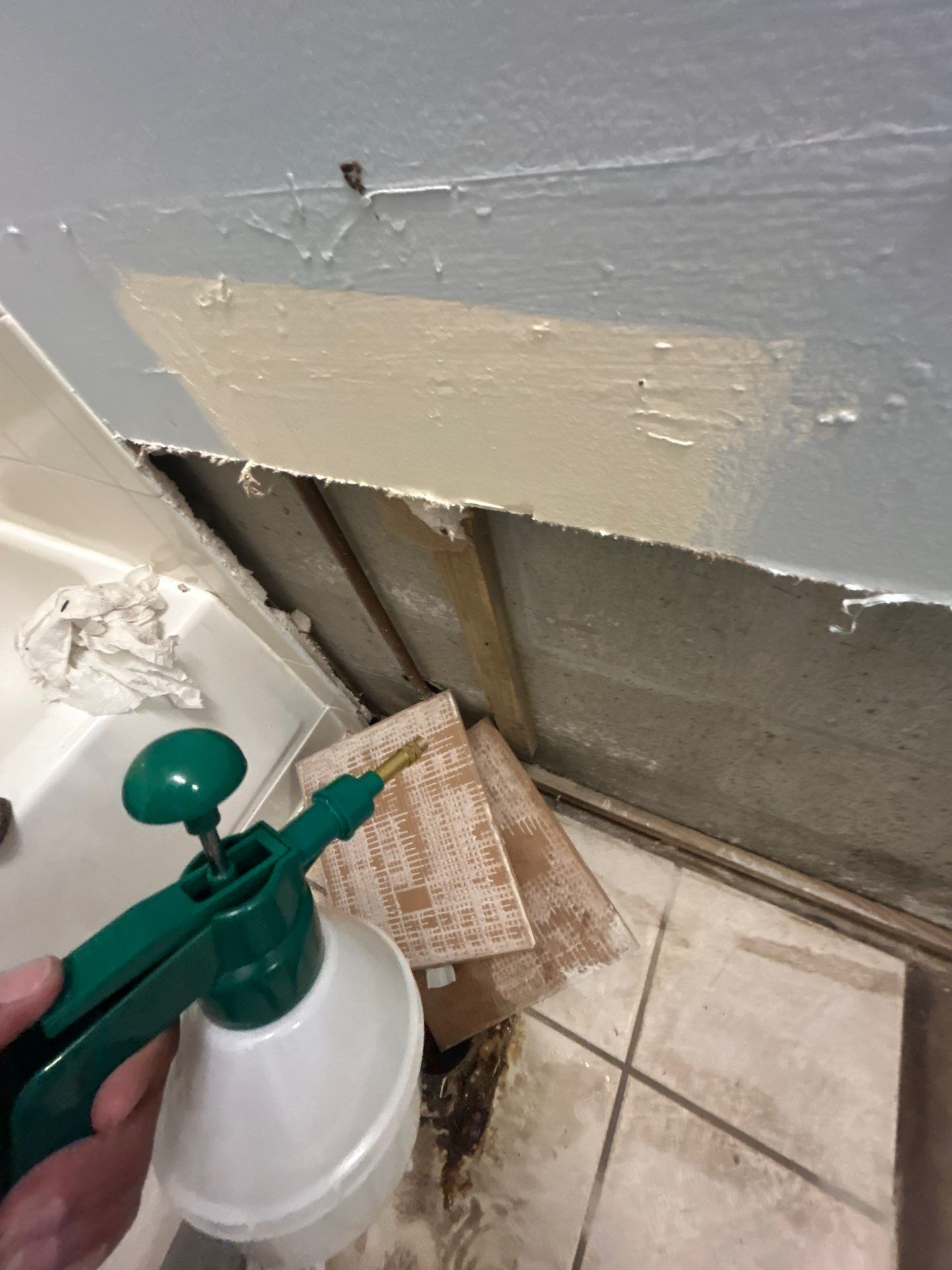 Mold Restoration In Bradenton by Ampm Restoration Services