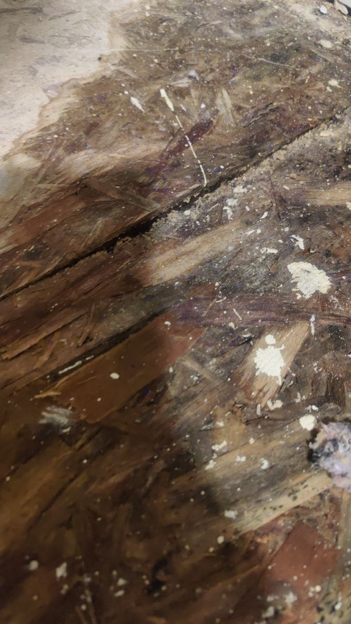 Water Damage Restoration by Accountable Home Services