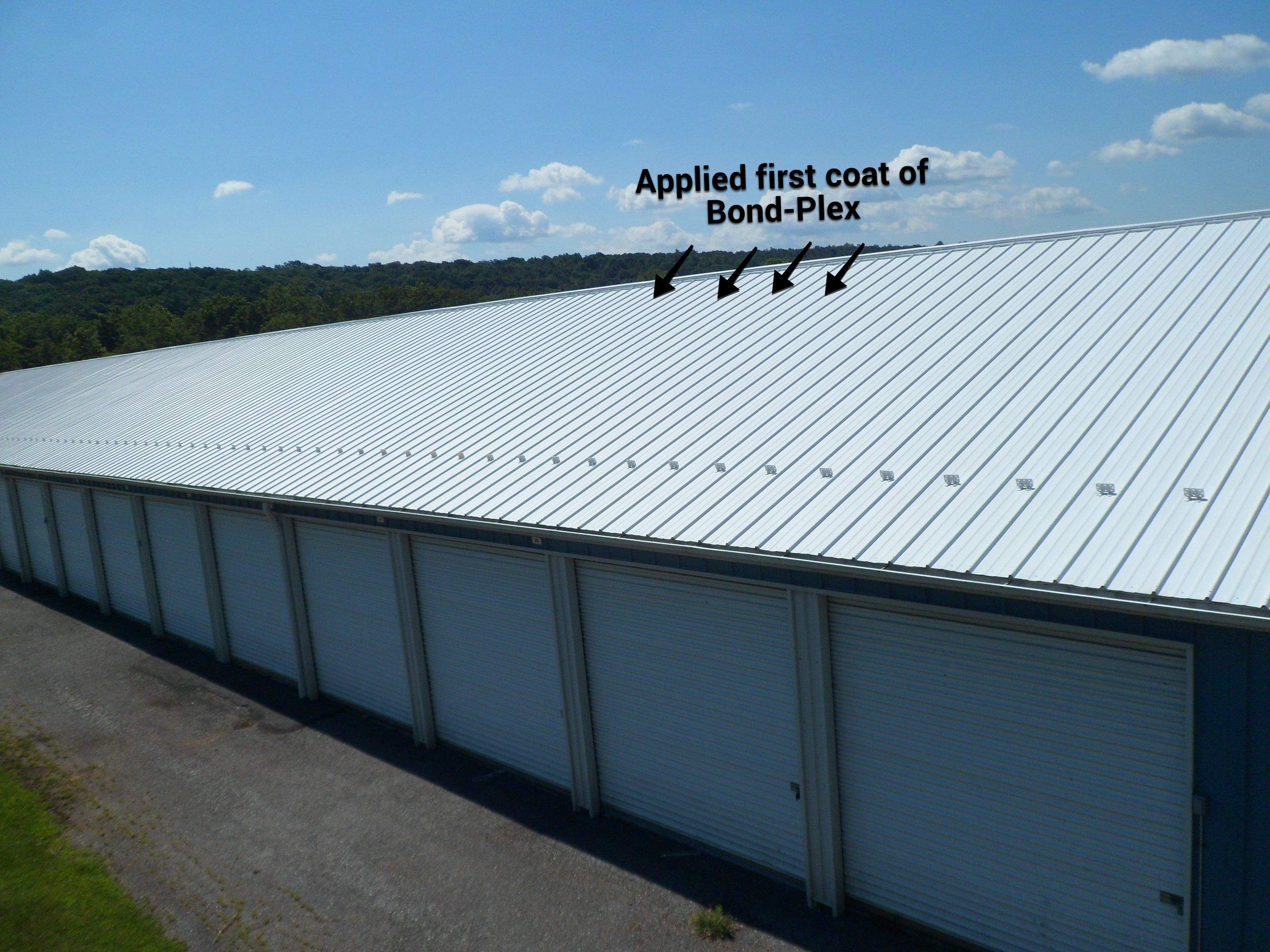 Exterior Painting by Alpha Design Services