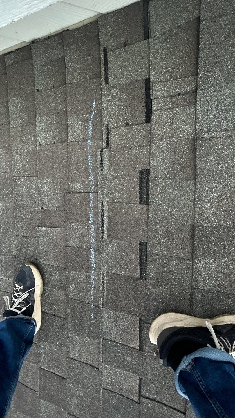 PAM M by Boss Hogg Roofing