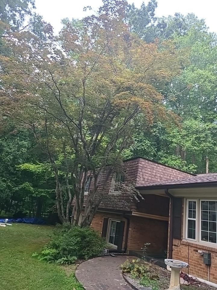 Fairfax Station: CertainTeed Landmark Pro Designer Shingles in Max Def Resawn Shake by RM Banning, Inc.