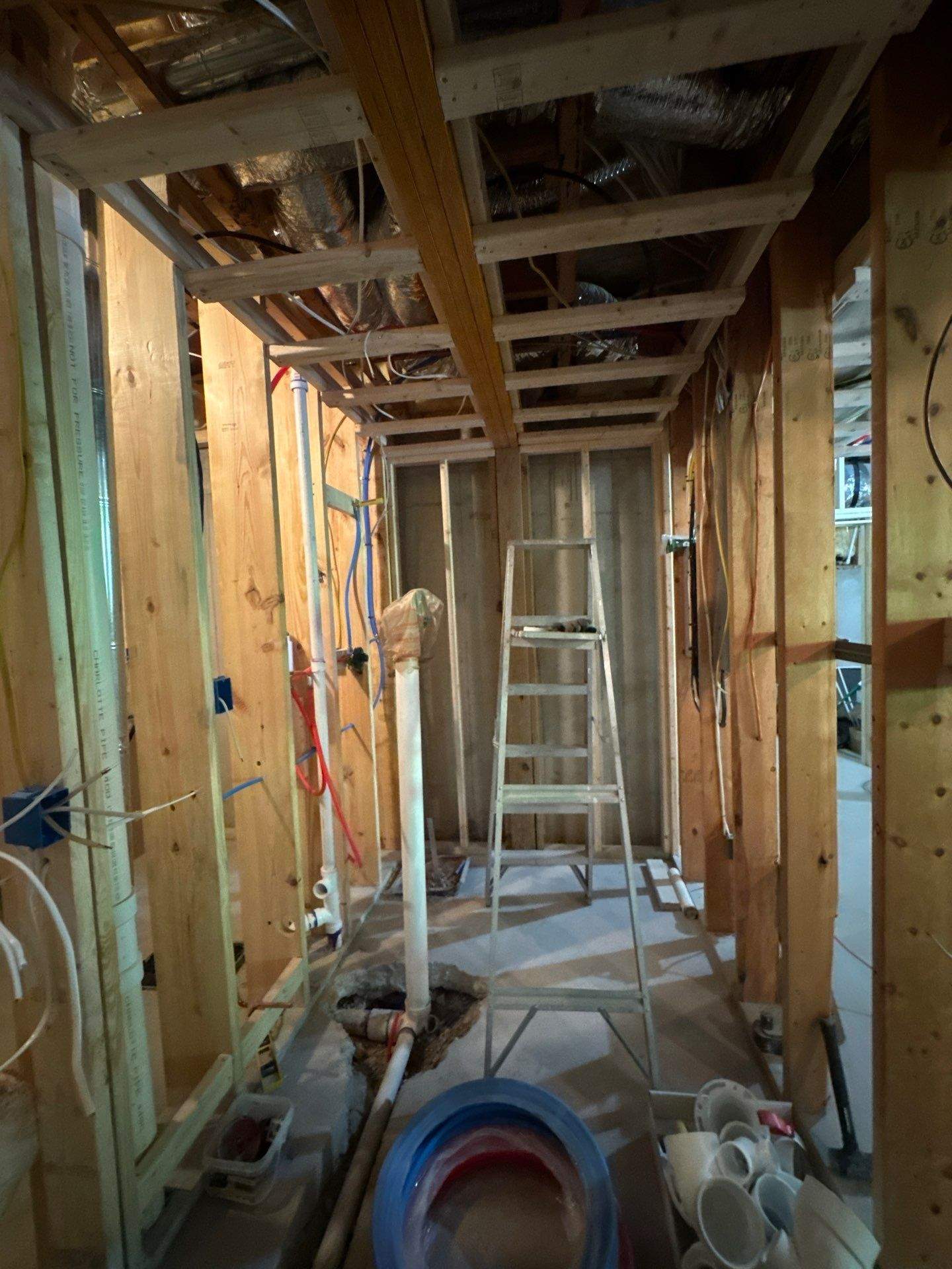Basement Bathroom  by Prudencio