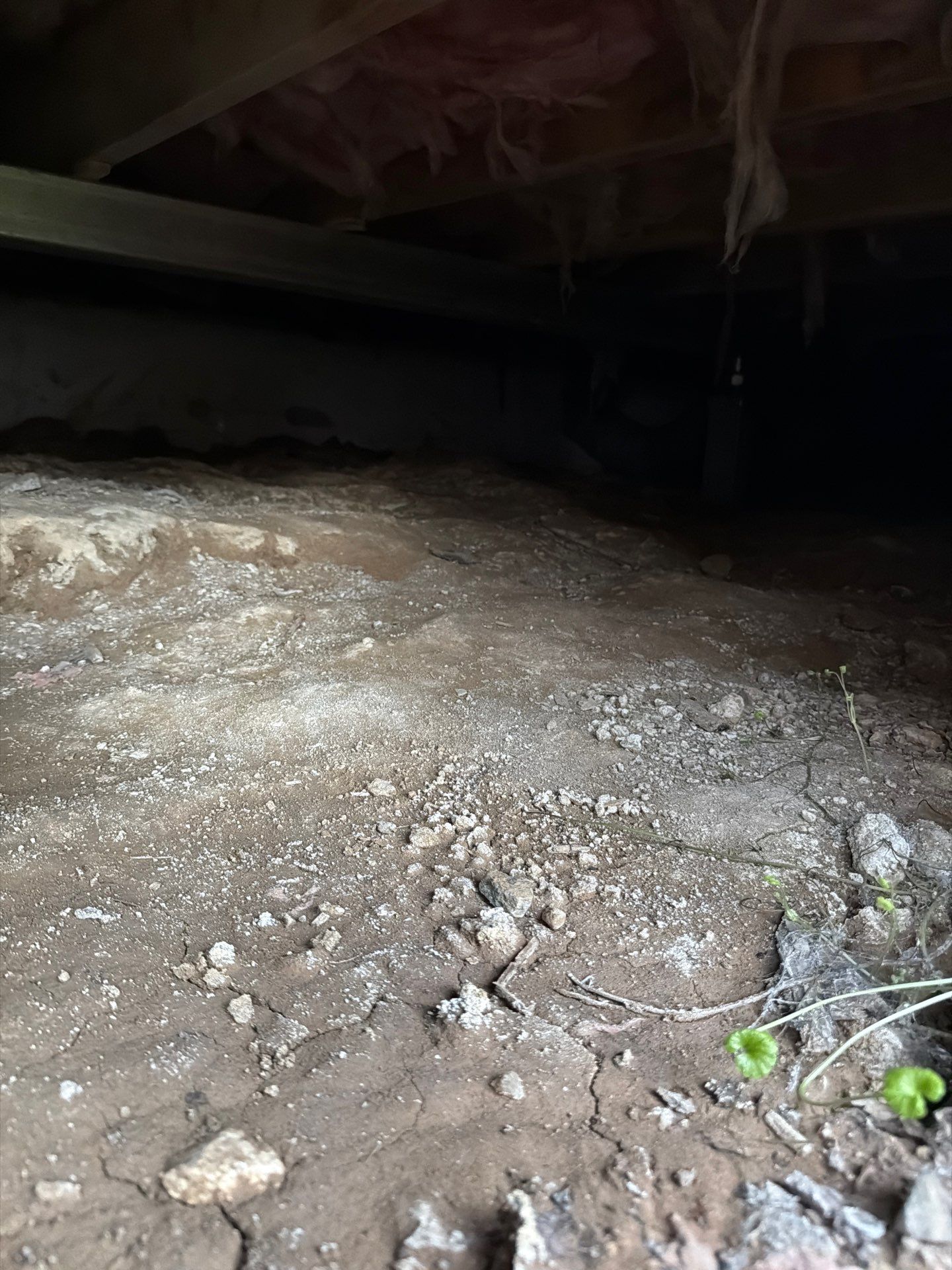 Pasadena Residence by Smart Energy Pros