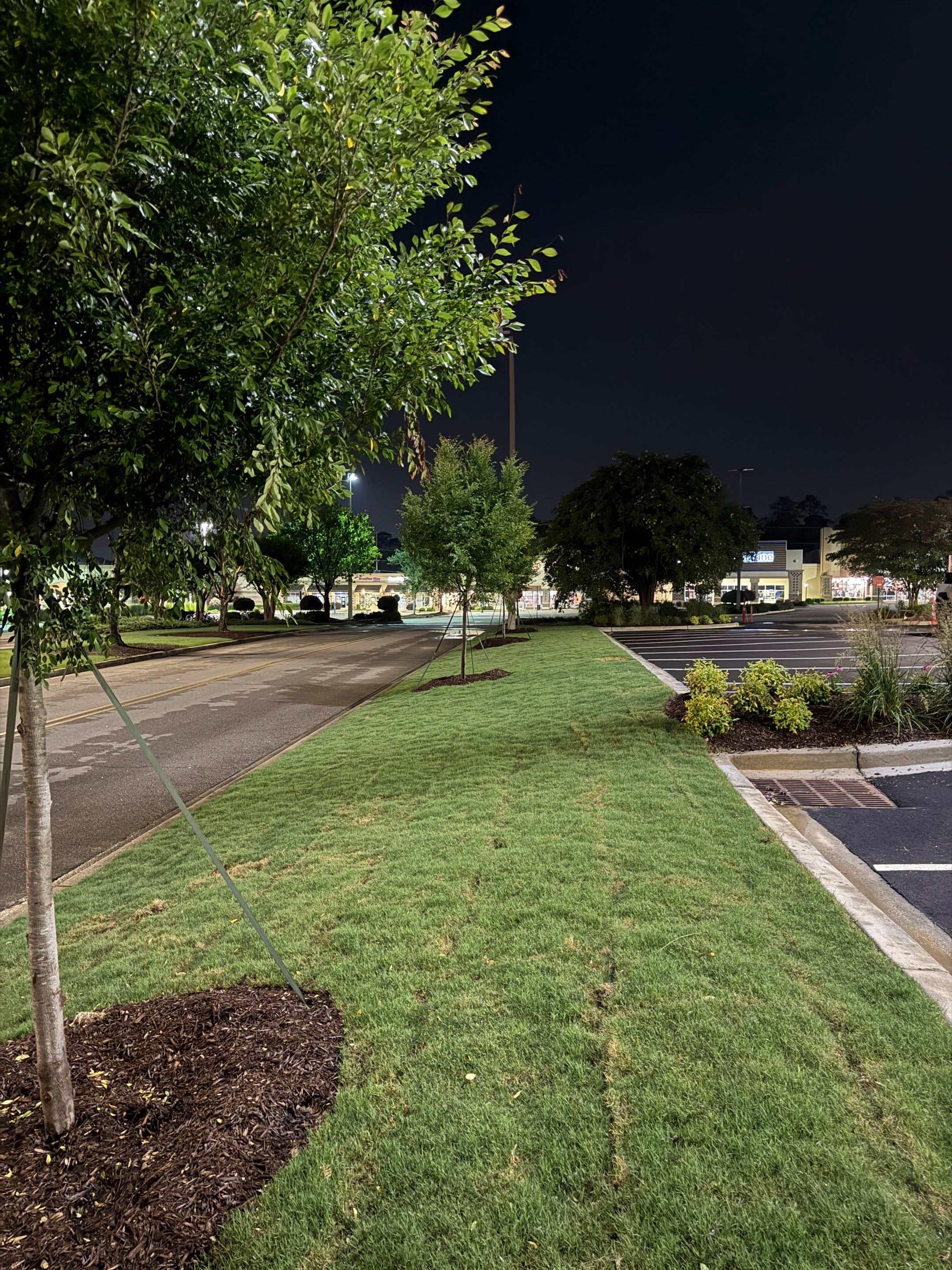 FTB Haribson Bank Project Columbia SC - (Commercial) by Carolina-Metro Landscape, Inc