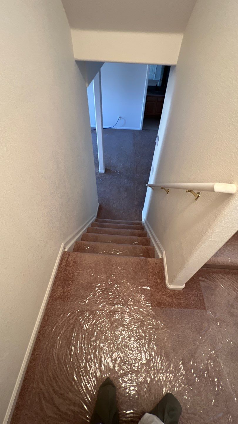 Mold Damage by Accountable Home Services