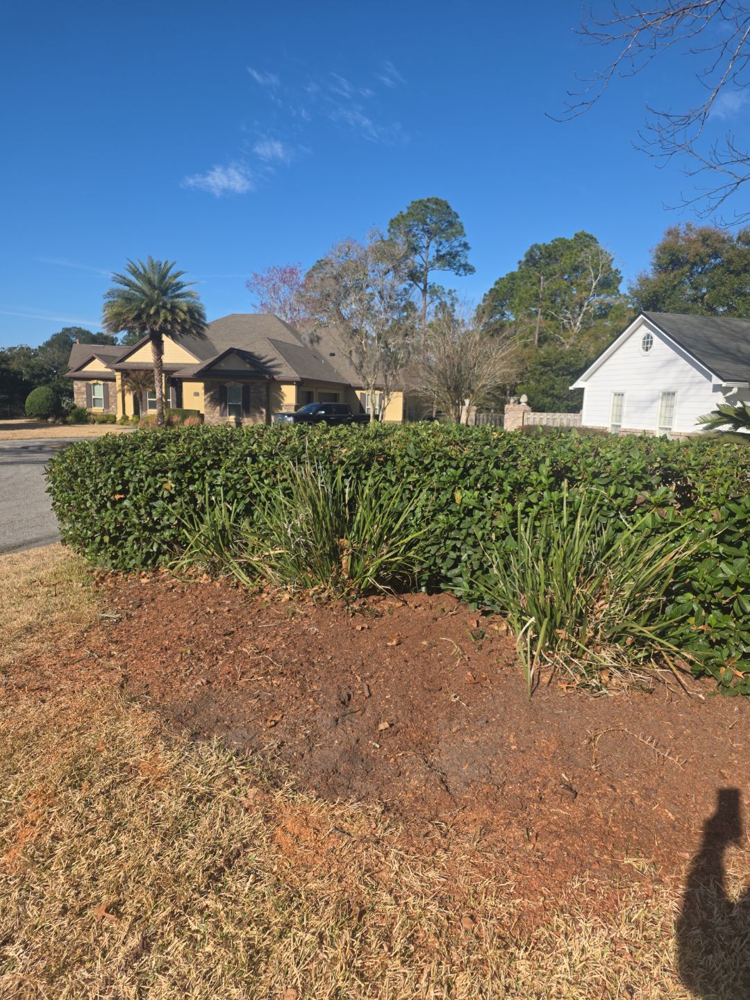 Deerwood Resident | Tree Removal by ProGreen Services