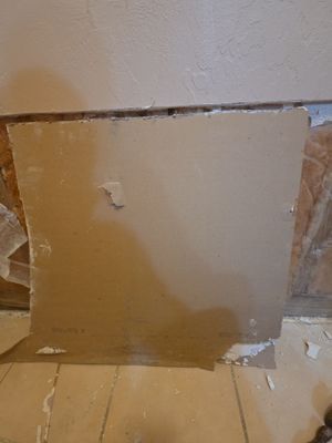 Mold Remediation and Interior Containment Services in Fort Myers