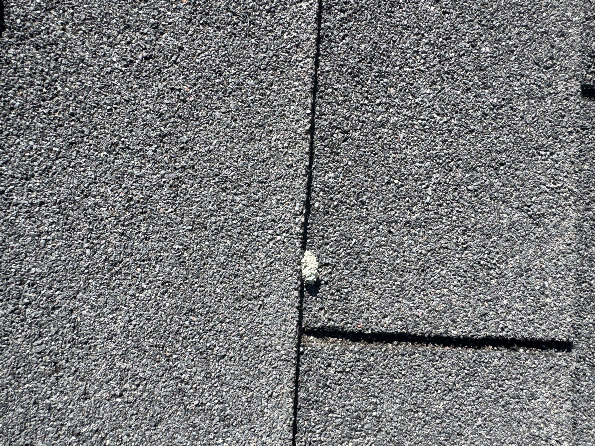 Residential Roof Replacement and Decking Repair in Boise, Idaho by Olive Roofing