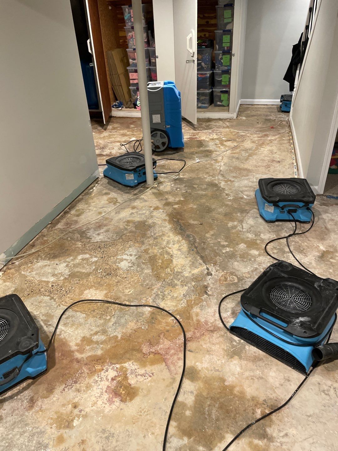 Project in Northville by EzDry Water Mitigation & Property Restoration