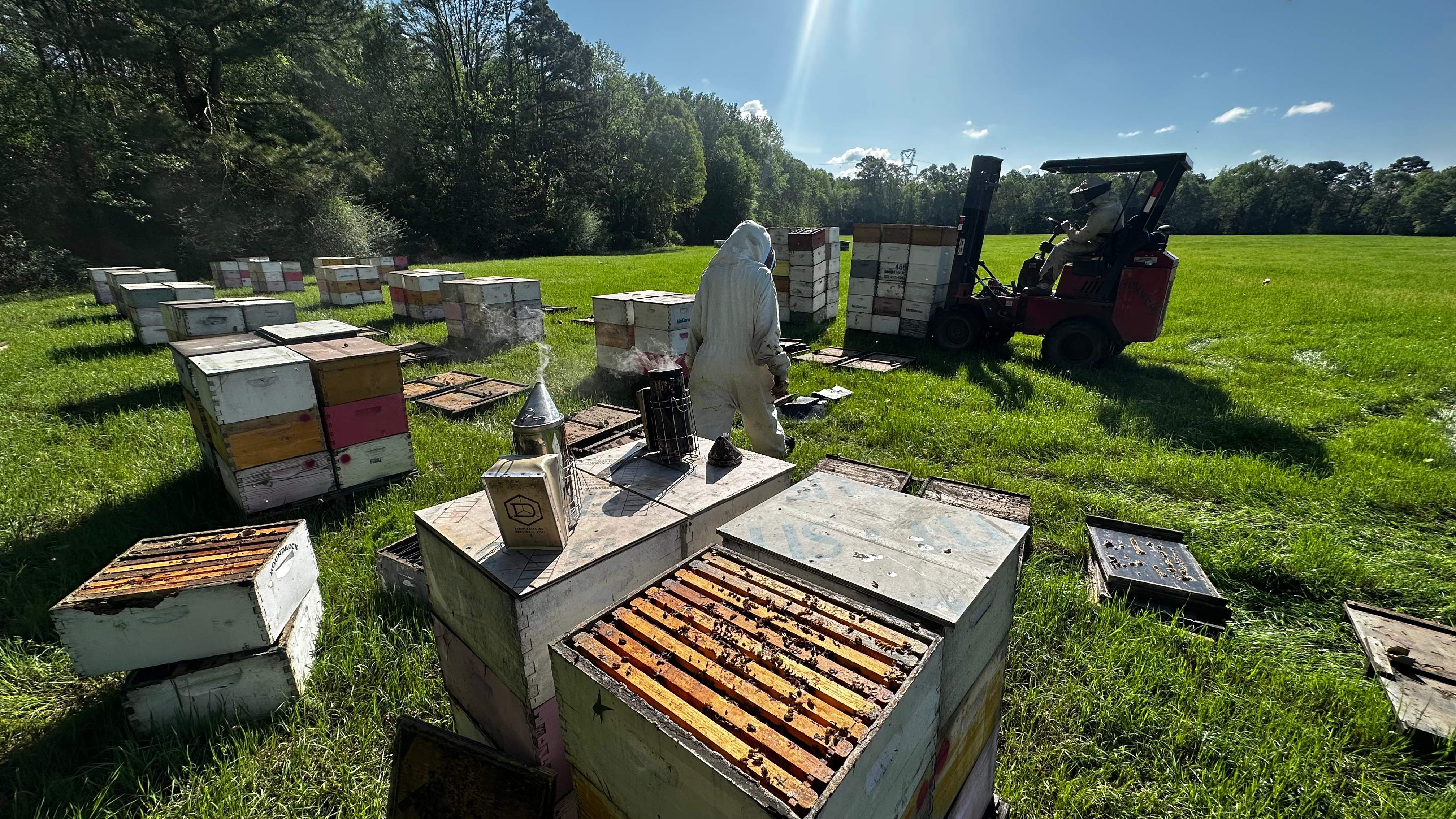 Traylor's Hay Meadow Apiary by Rockwall Honey Bee Company