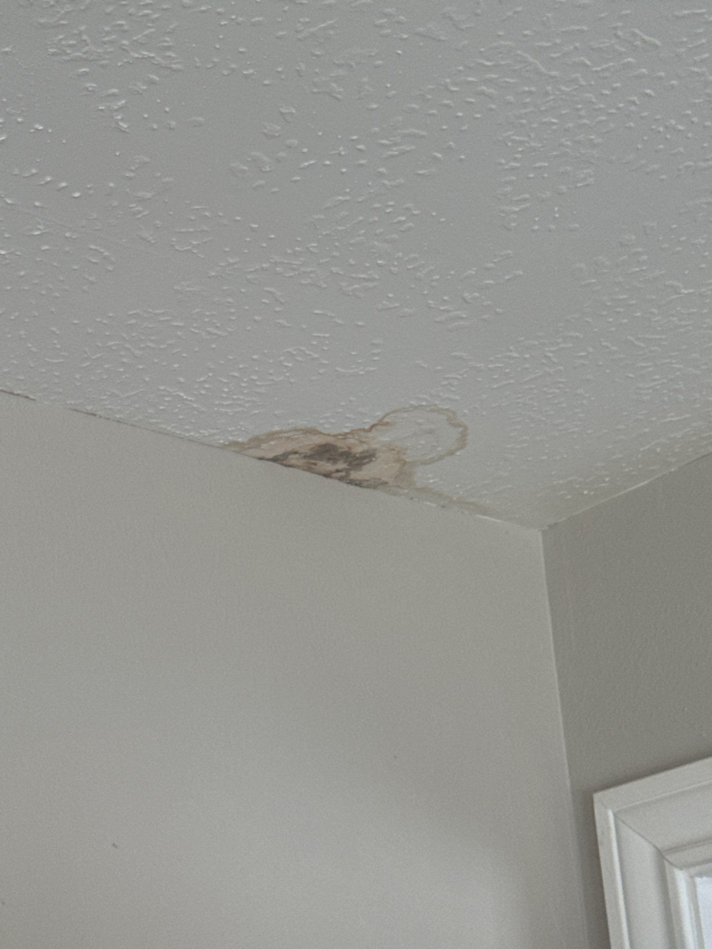 Roof Repair Spring by Roof Repair Company