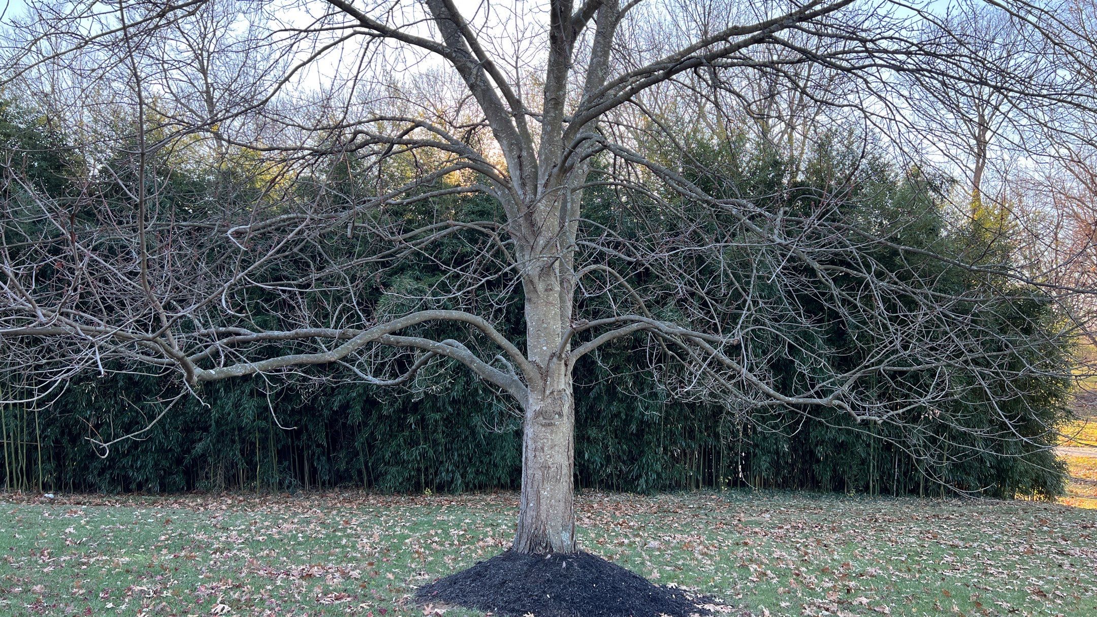 Hardscape Design & Install using Unilock Products by Reisenberg’s Lawn & Landscape, LLC