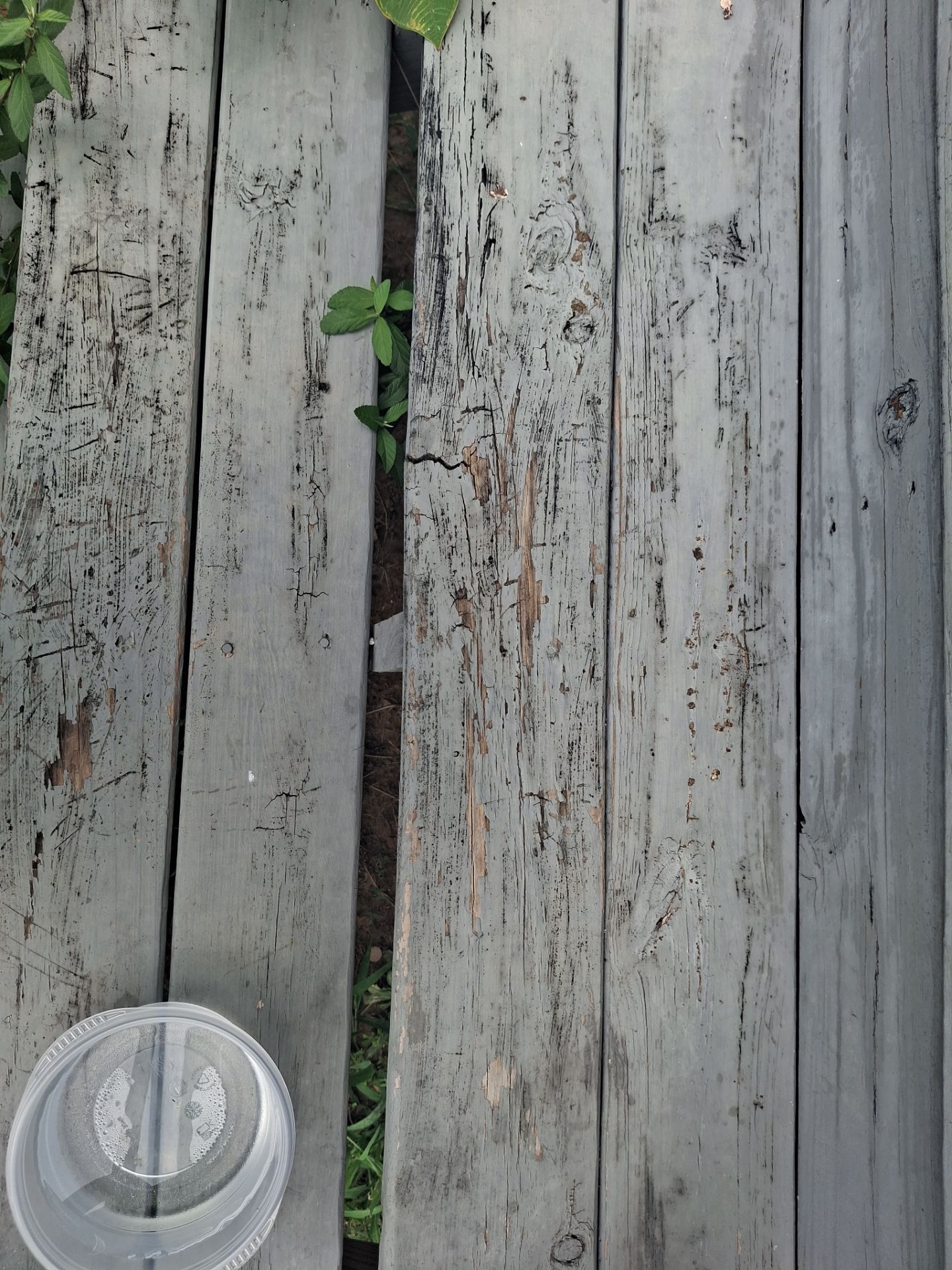 Ben Wheeler, TX Deck Staining & Wood Restoration by Quality Coats Painting