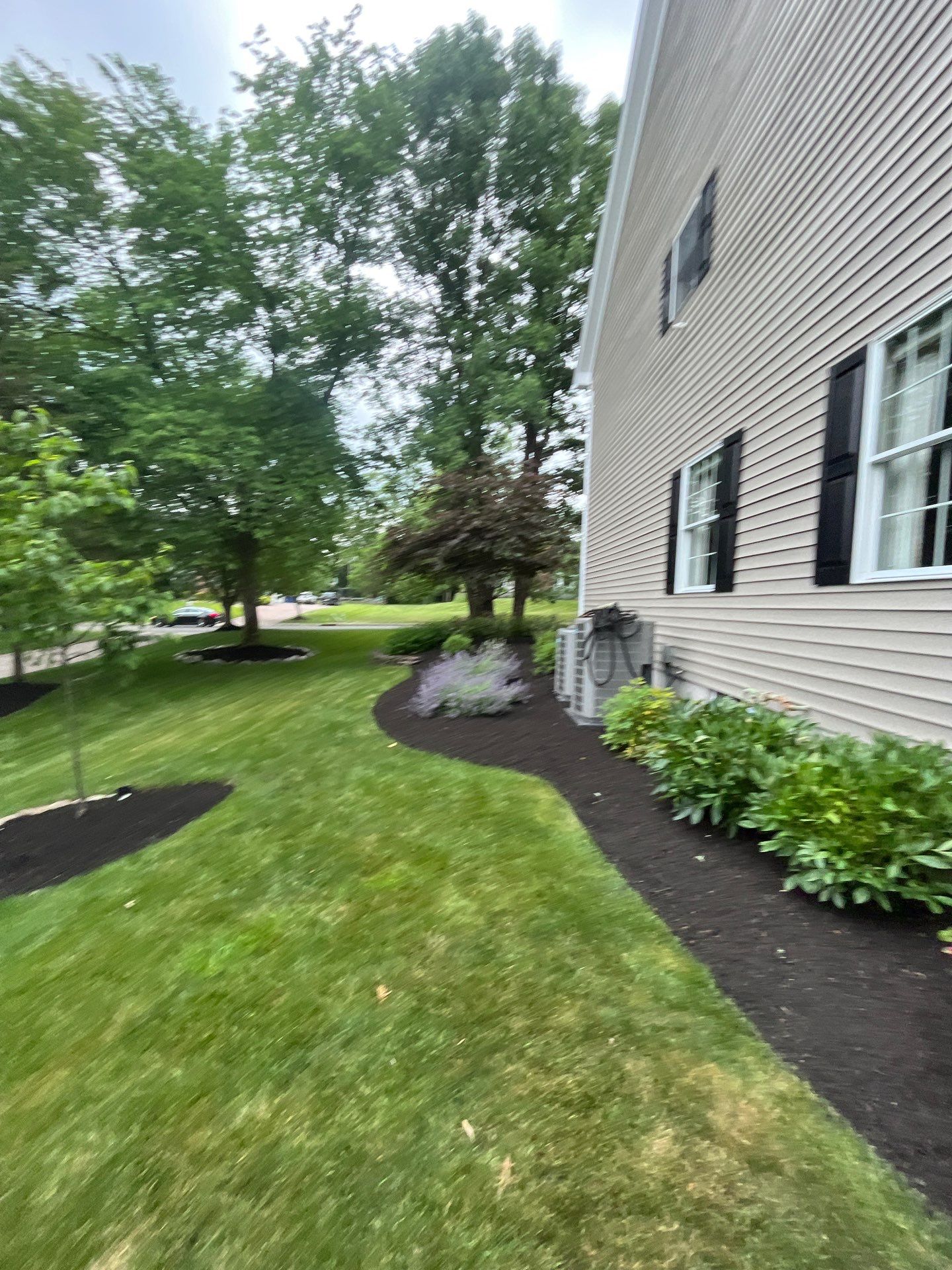 Comprehensive Shrub and Ornamental Bed Maintenance in Basking Ridge by Ants Plants