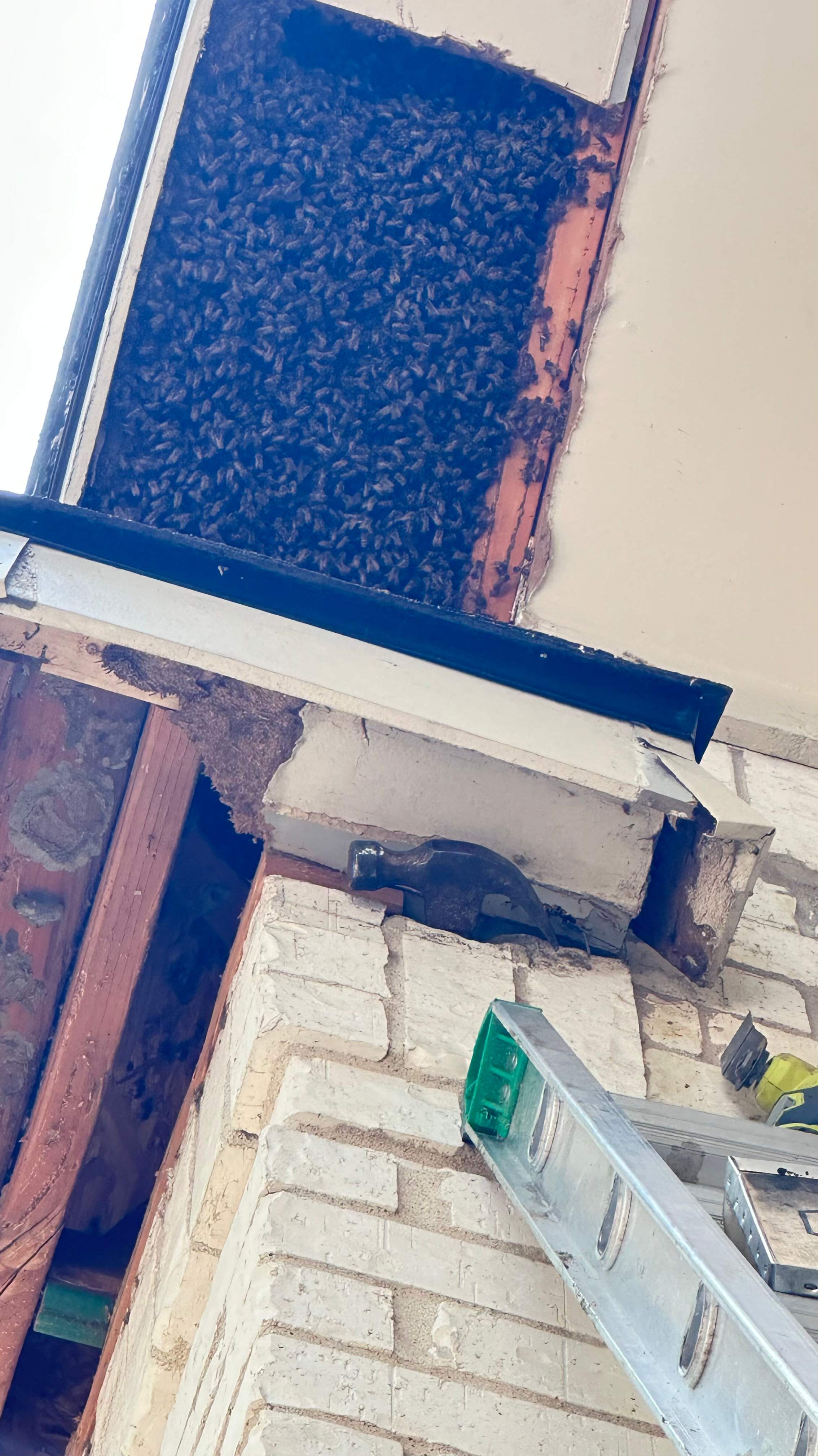 Tall Soffit by Rockwall Honey Bee Company