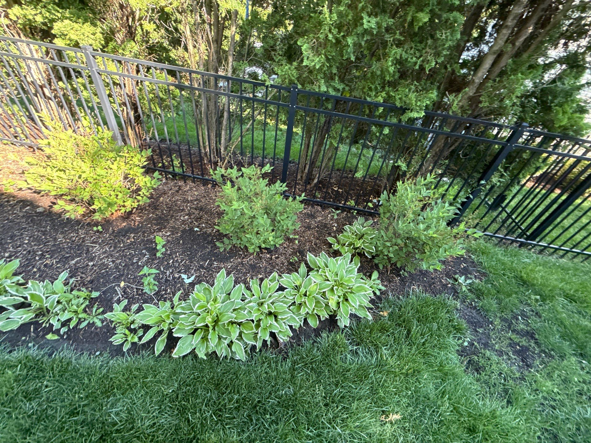 Lesley D. - Arlington Heights, IL by A&N 