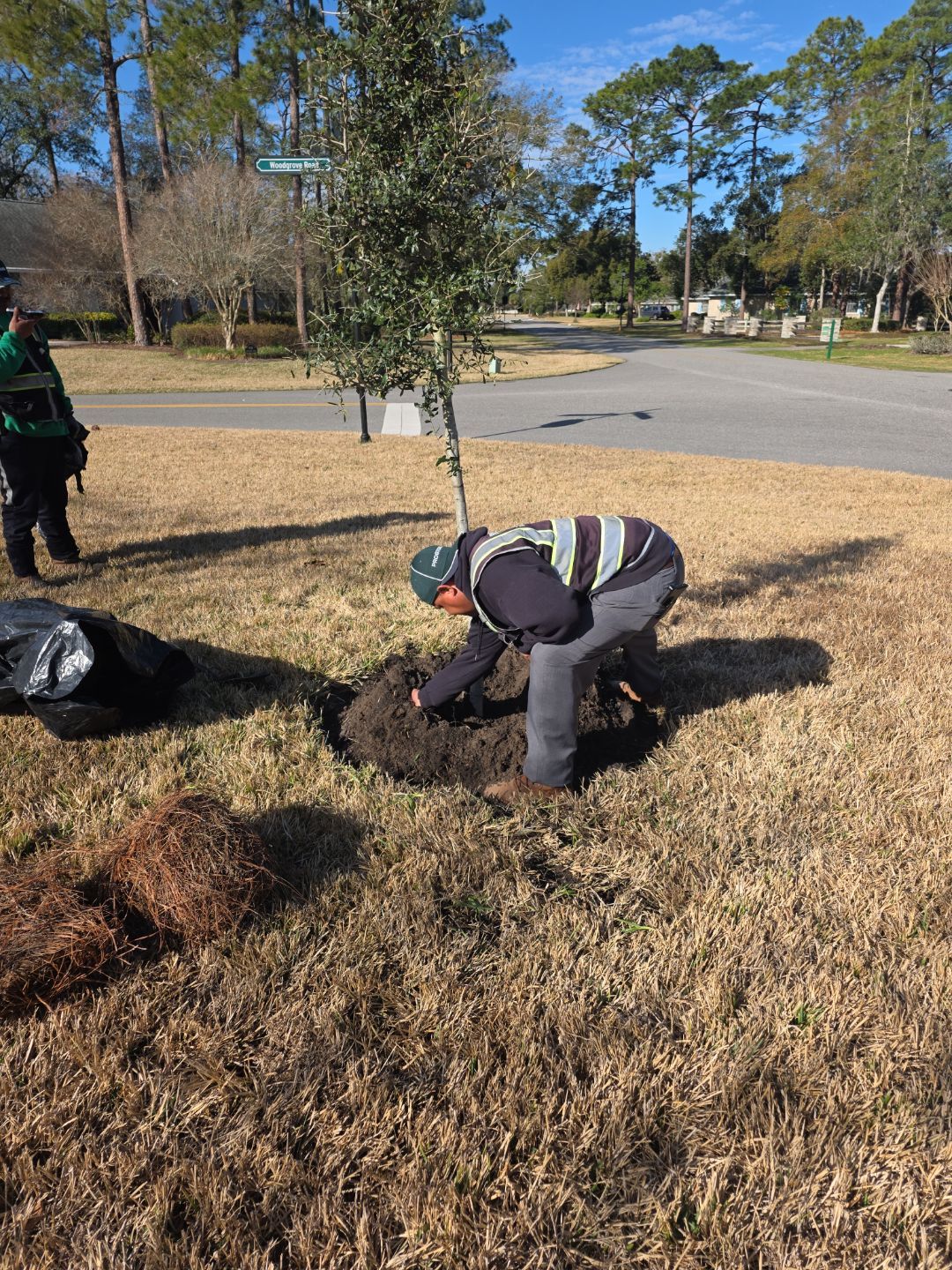 Deerwood Resident | Tree Install by ProGreen Services